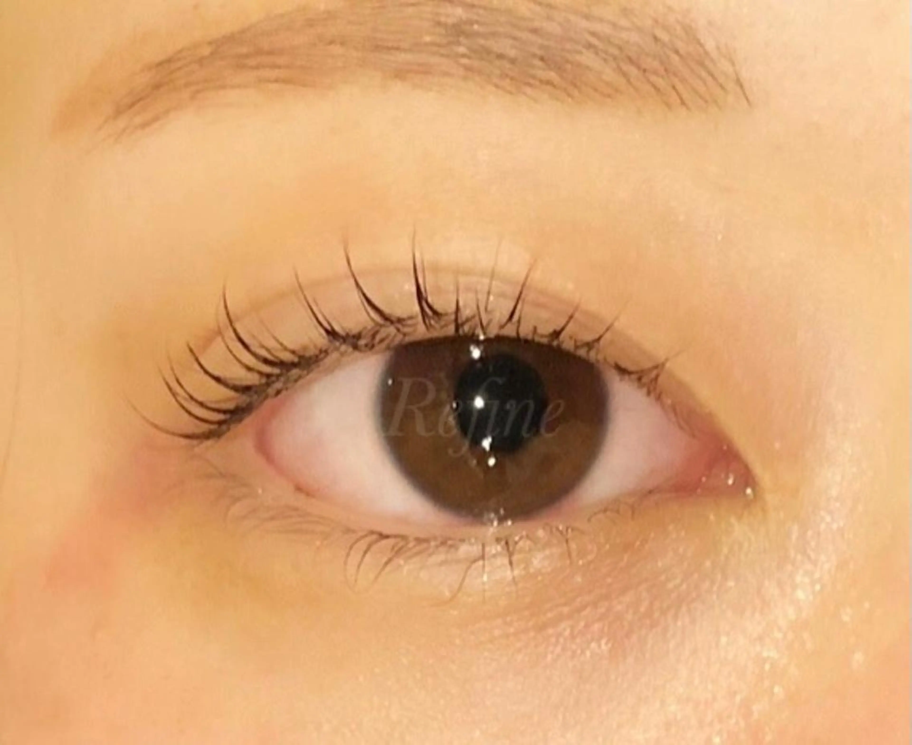 マツエク・マツパ マツパ 【Refine】 磯部のマツエク・マツパデザイン