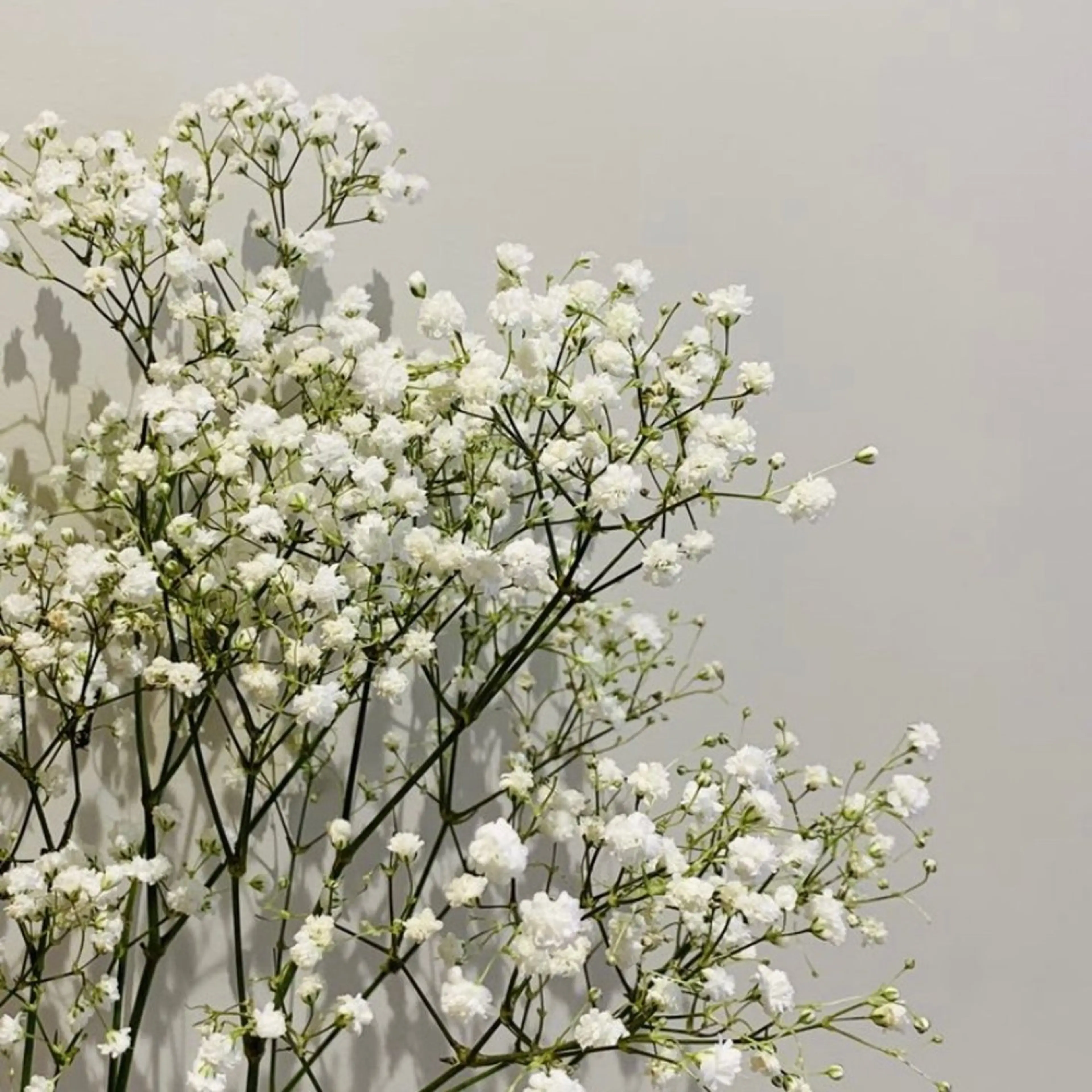 マツエク・マツパ リスブラン小伝馬町 AKARIのマツエク・マツパデザイン