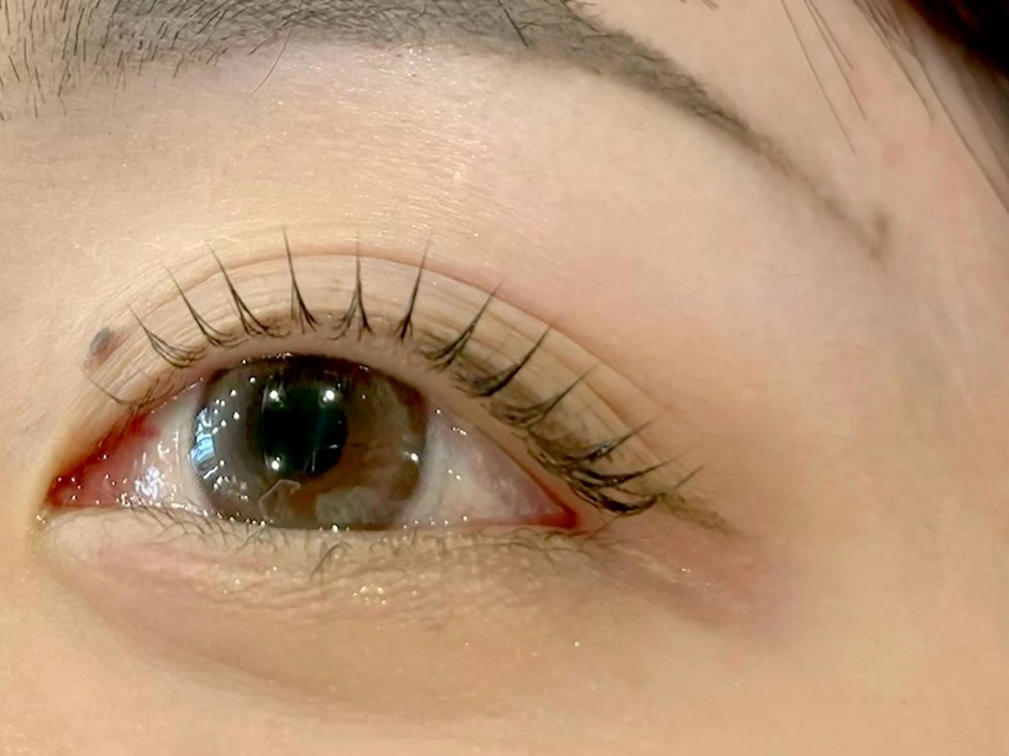 🌟新規限定🌟ビューラー式まつげパーマ＋毛先トリートメント　2200円の写真