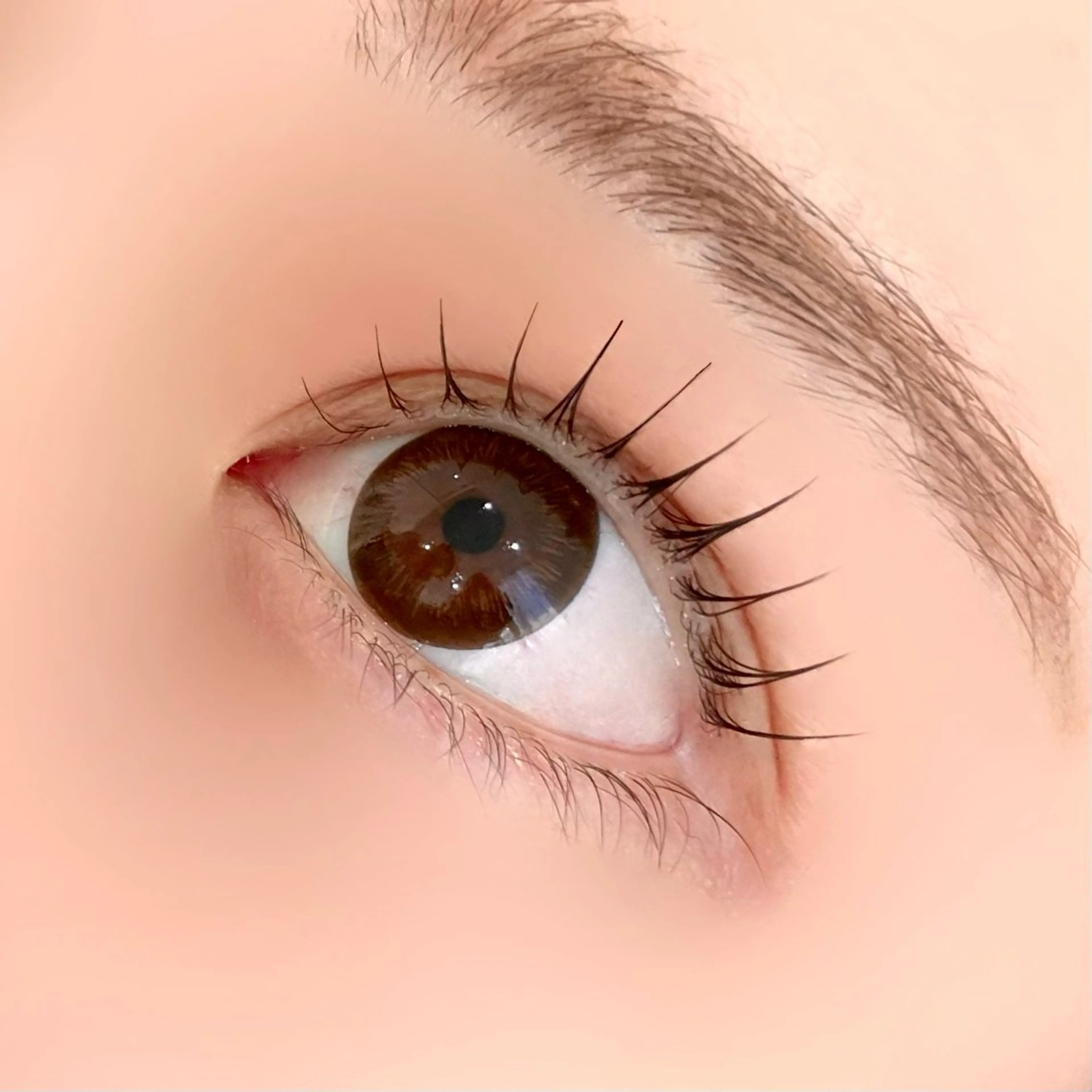 マツエク・マツパ 束感まつ毛 韓国風マツエク パリジェンヌラッシュリフト まつげパーマ 一重×まつ毛パーマ 渋谷／束感まつげ パーマ／YUKIのマツエク・マツパデザイン