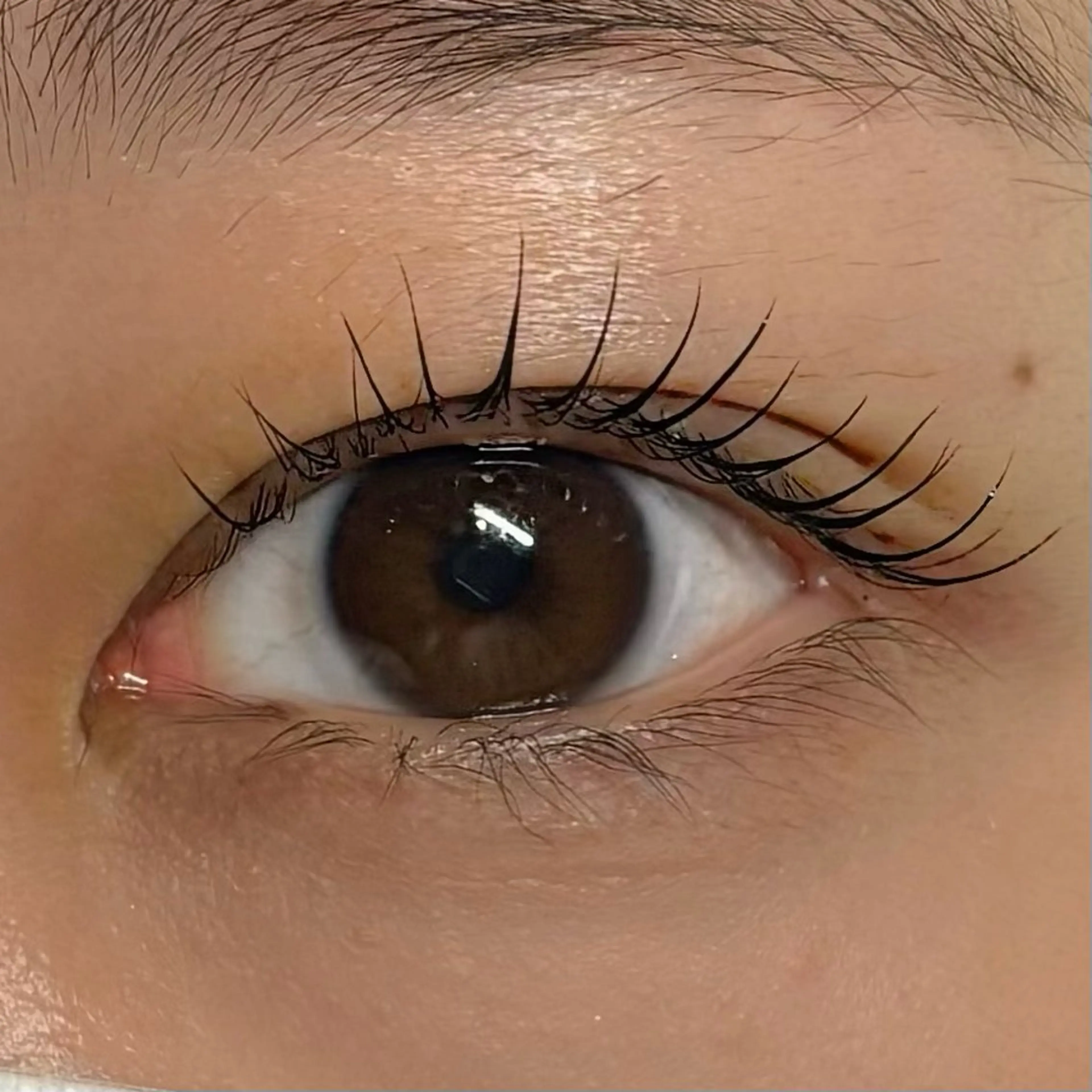 マツエク・マツパ 垢抜け眉WAX専門 ちゅるんまつげ|鎌倉の眉毛・アイブロウイメージ