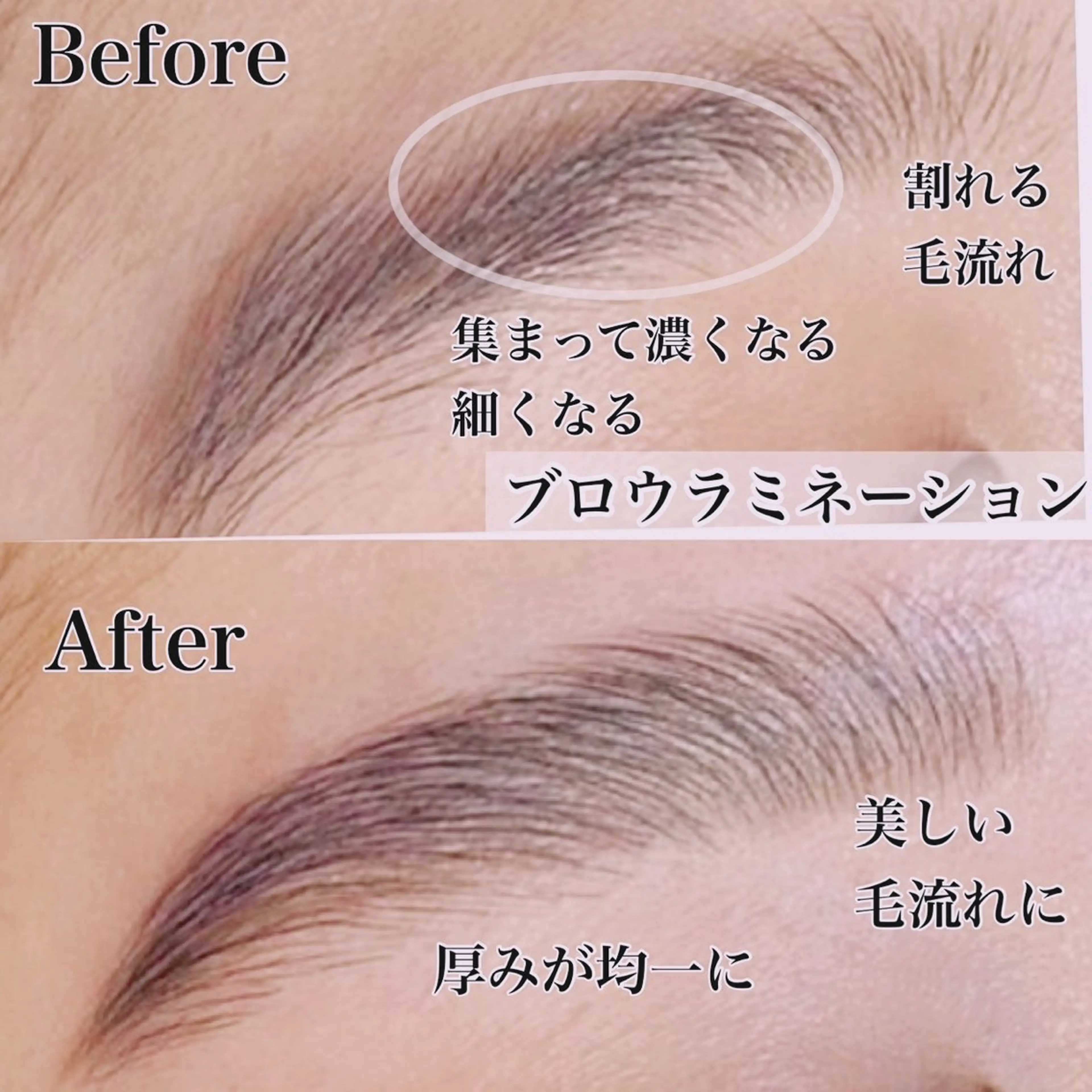 🎀ミニモ限定🎀【レディース限定🚺】ブロウラミネーション×眉ワックスの写真