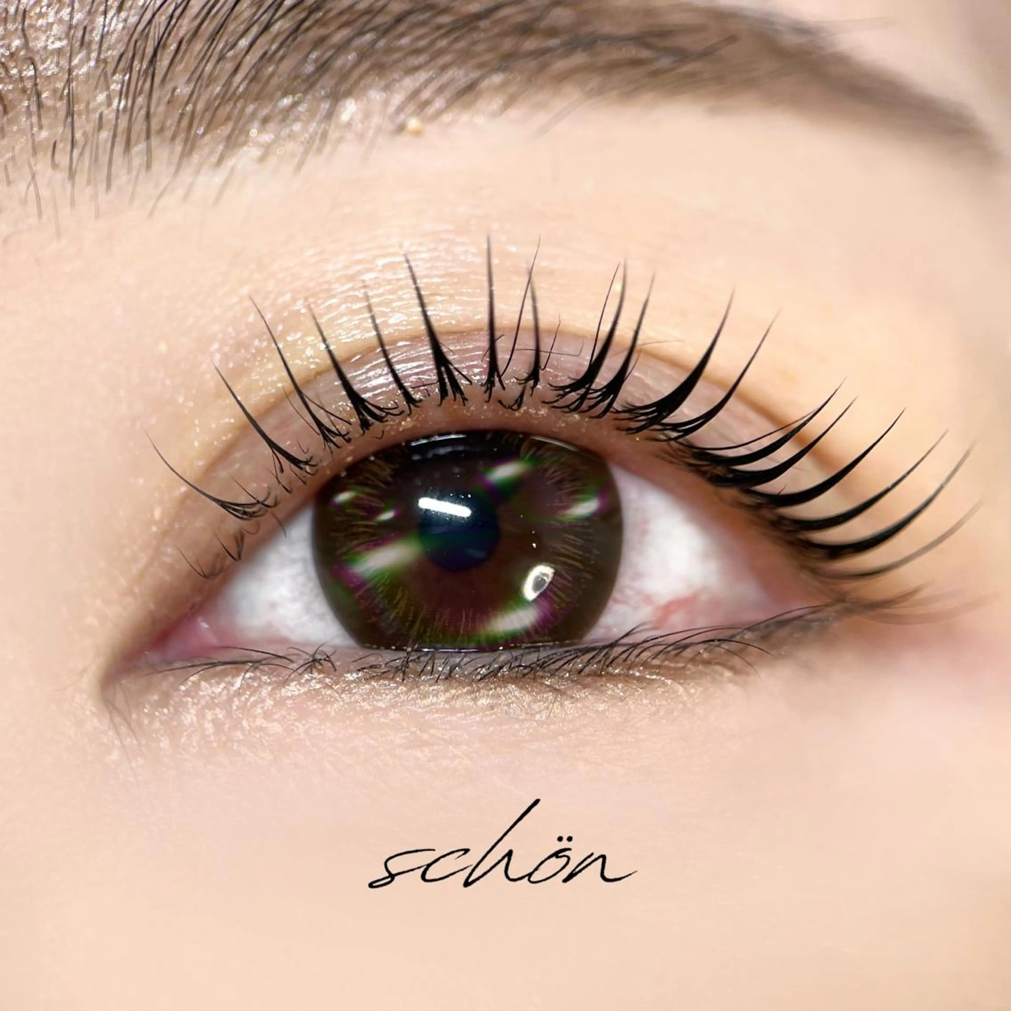 【認定サロン】パリジェンヌラッシュリフト¥6600⇒¥4980の写真