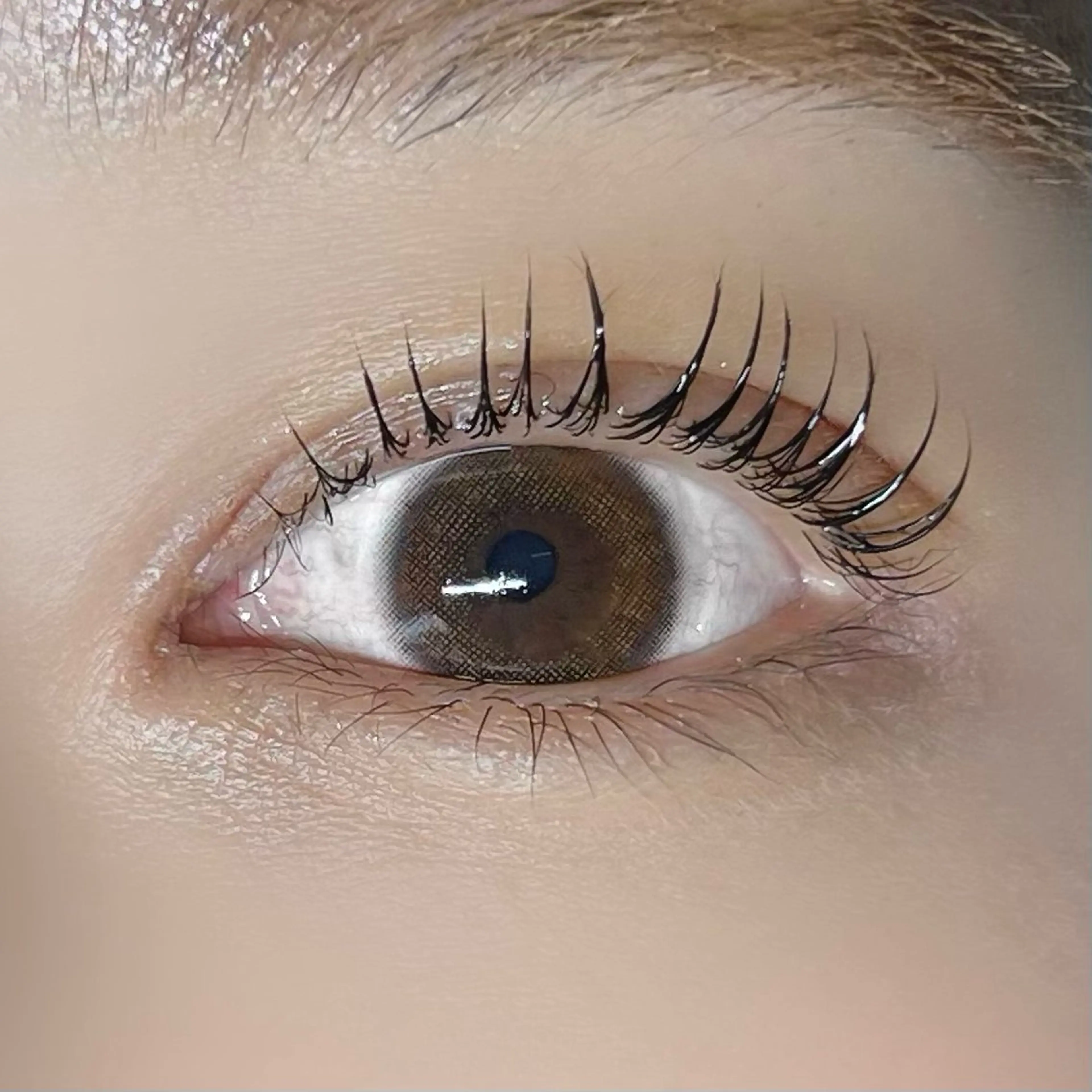 マツエク・マツパ 垢抜け眉WAX専門 ちゅるんまつげ|鎌倉の眉毛・アイブロウイメージ