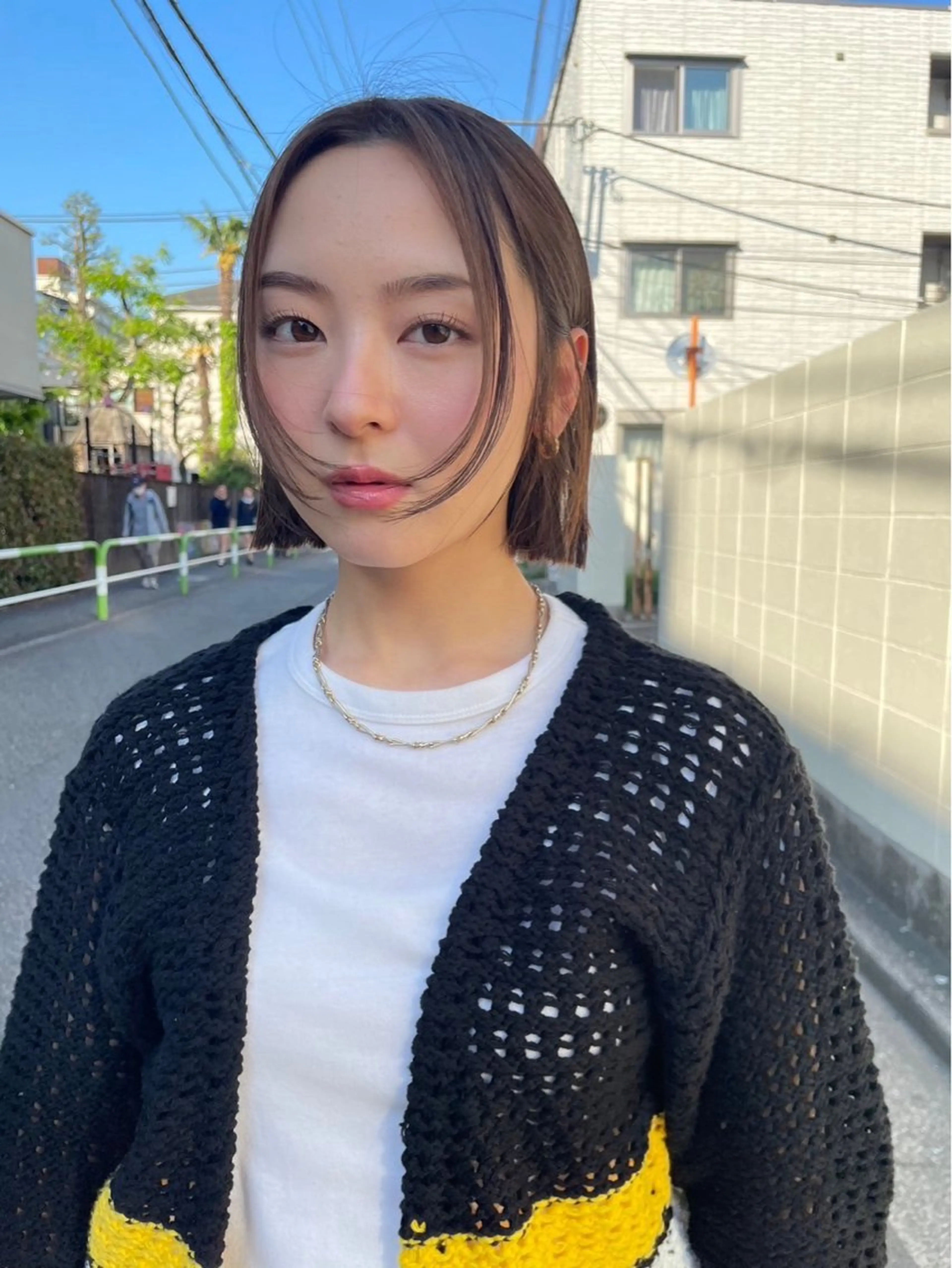 カラー 高橋 アニー未来のヘアスタイル