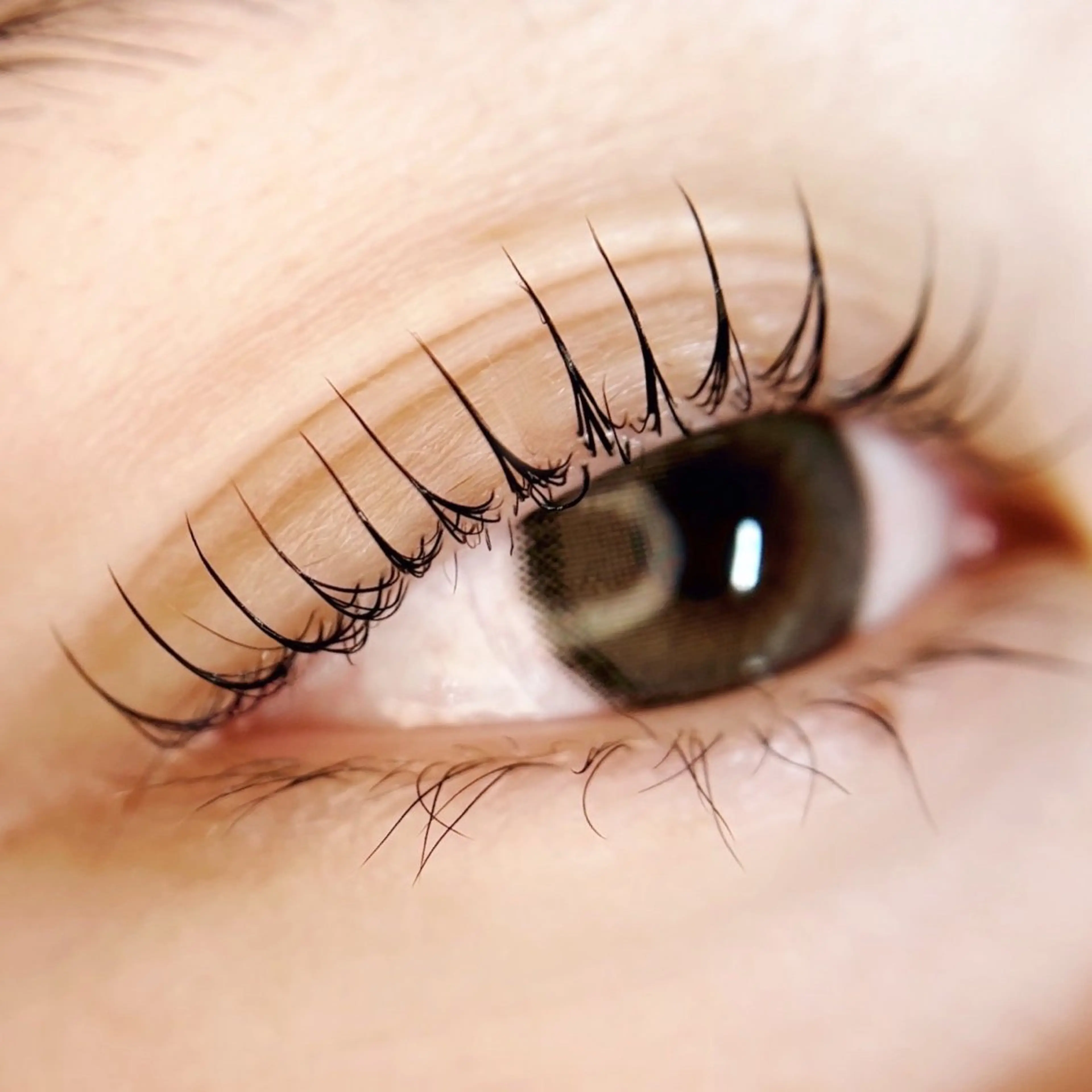 メンズ マツエク・マツパ パリジェンヌラッシュリフト Liyone橋本所属・Liyone 橋本のマツエク・マツパデザイン