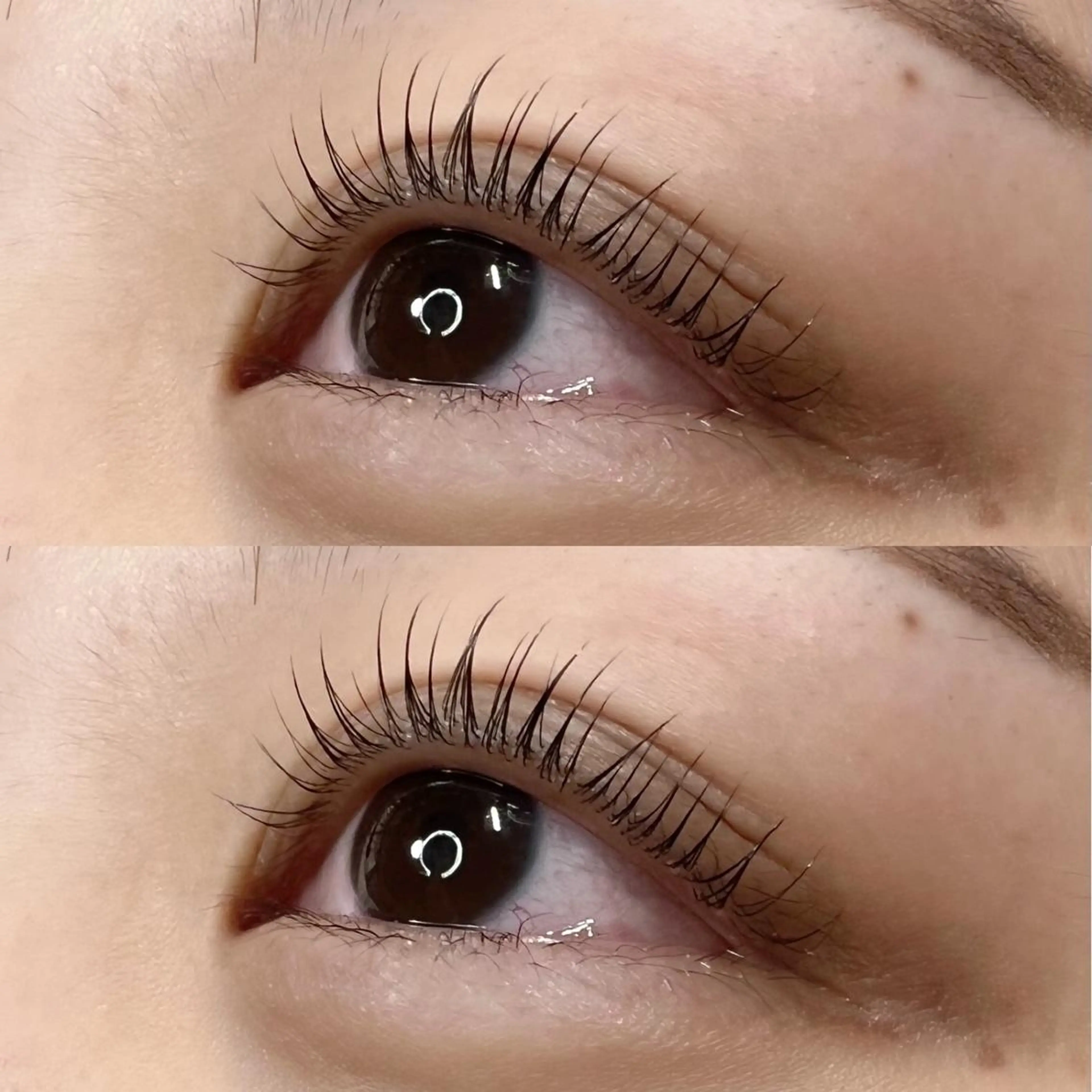 マツエク・マツパ Madonna Lilyのマツエク・マツパデザイン