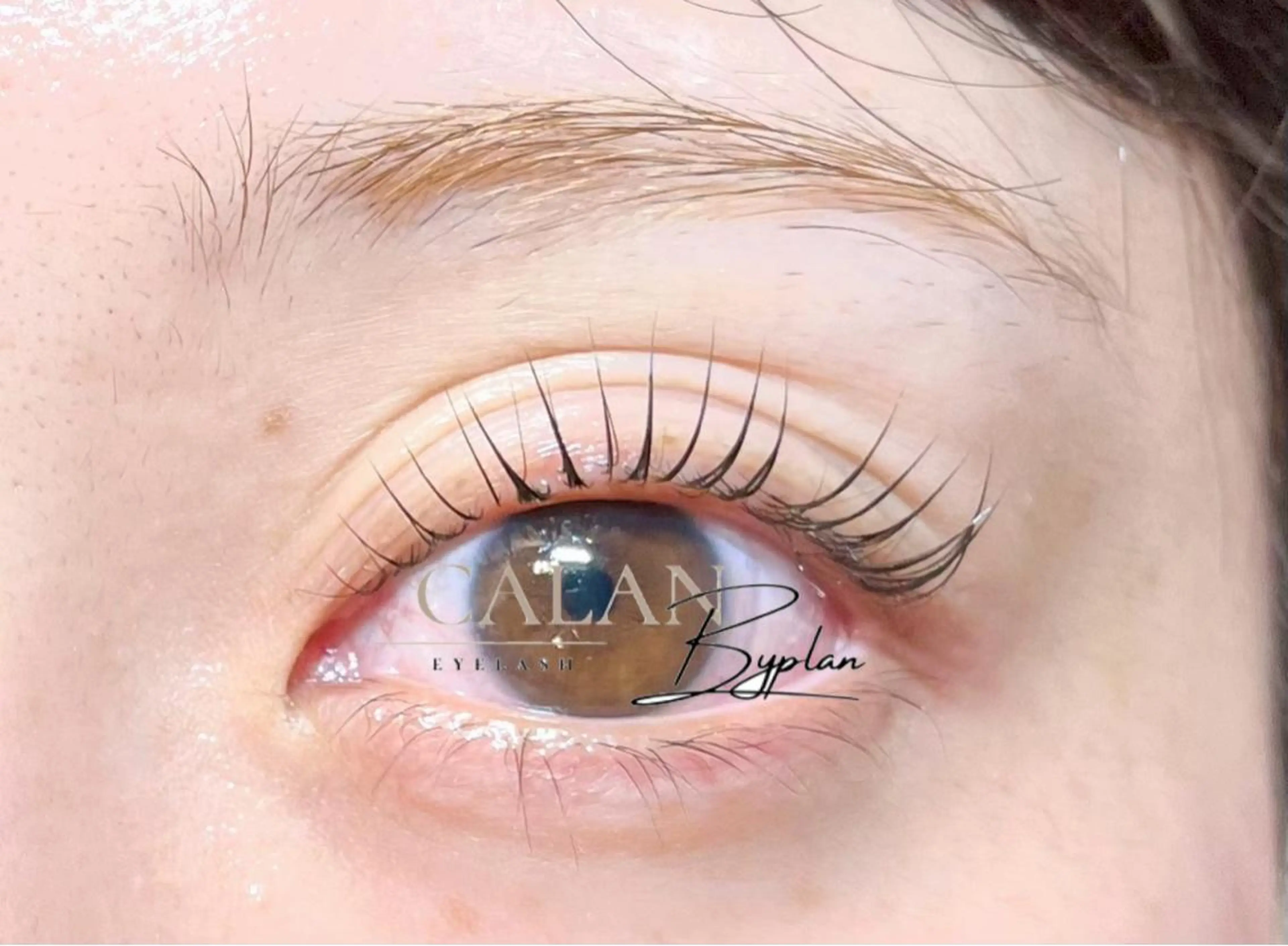 マツエク・マツパ LEDマツエク /束感🎀yukiのマツエク・マツパデザイン