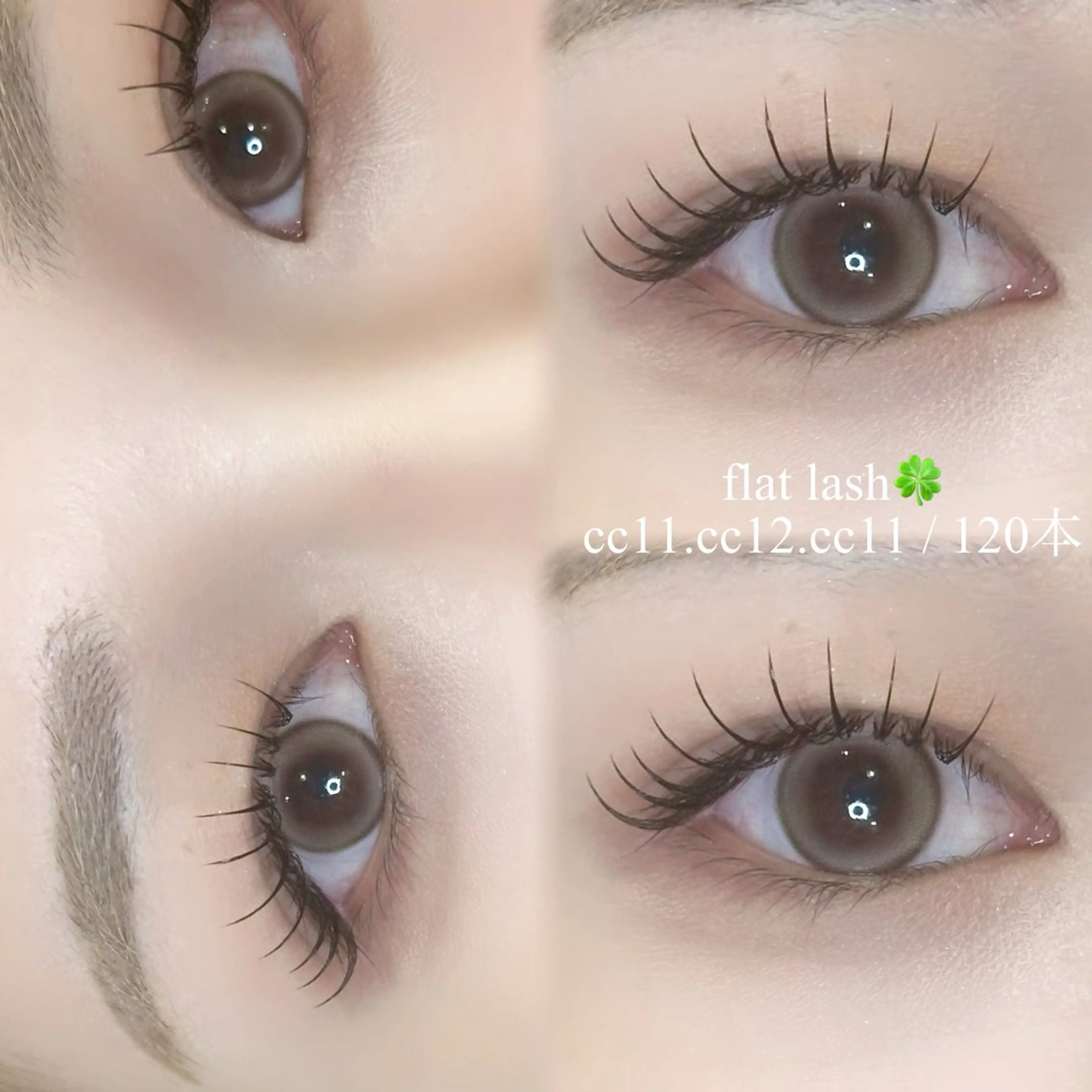 12月限定価格🍀フラットラッシュ　80本~100本(初回オフ無料)の写真