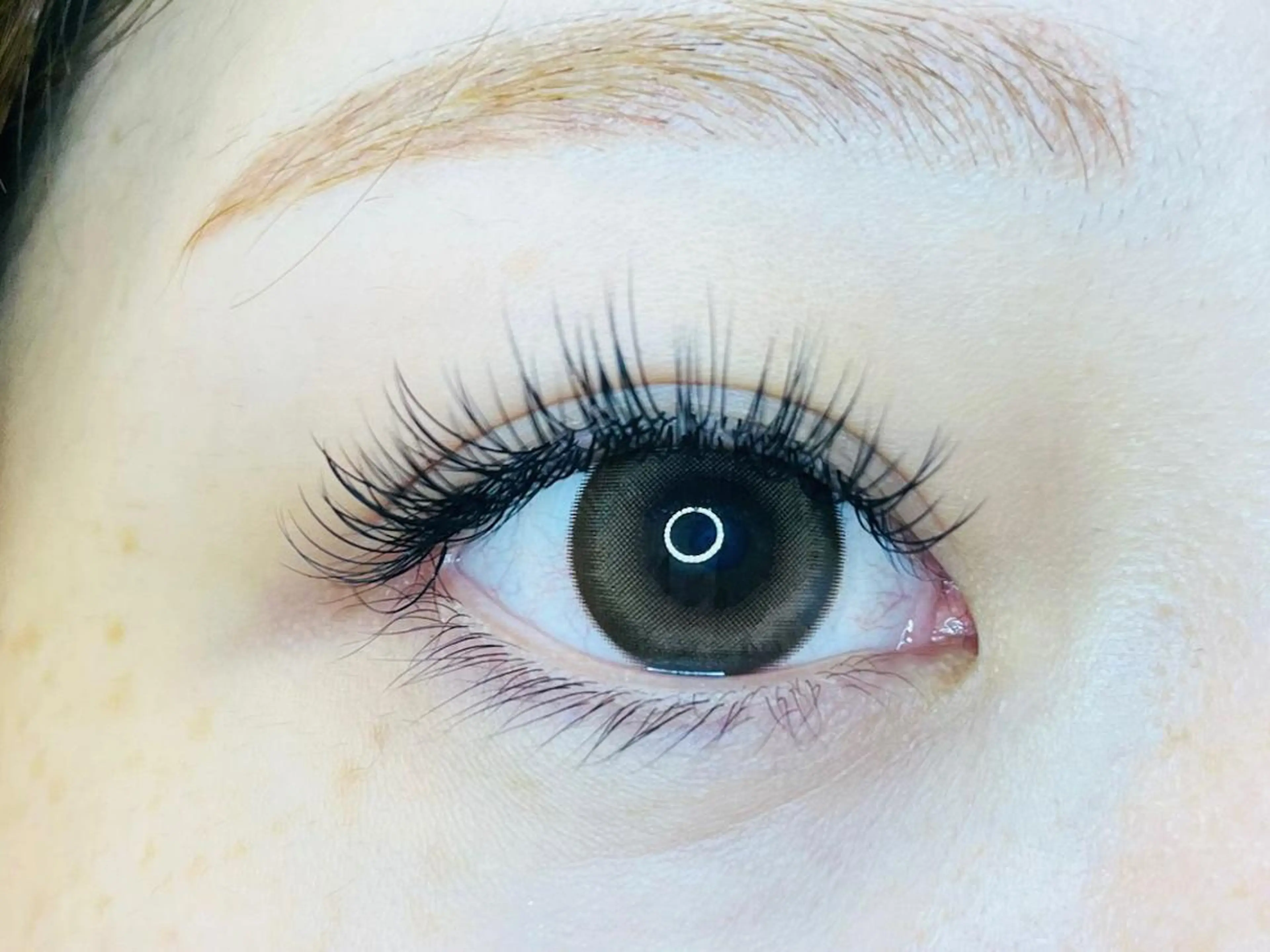 マツエク・マツパ 付け放題 バインドロック フラットラッシュ パリジェンヌラッシュリフト まつげパーマ マツエク オーロラ所属・AURORA RINAのマツエク・マツパデザイン