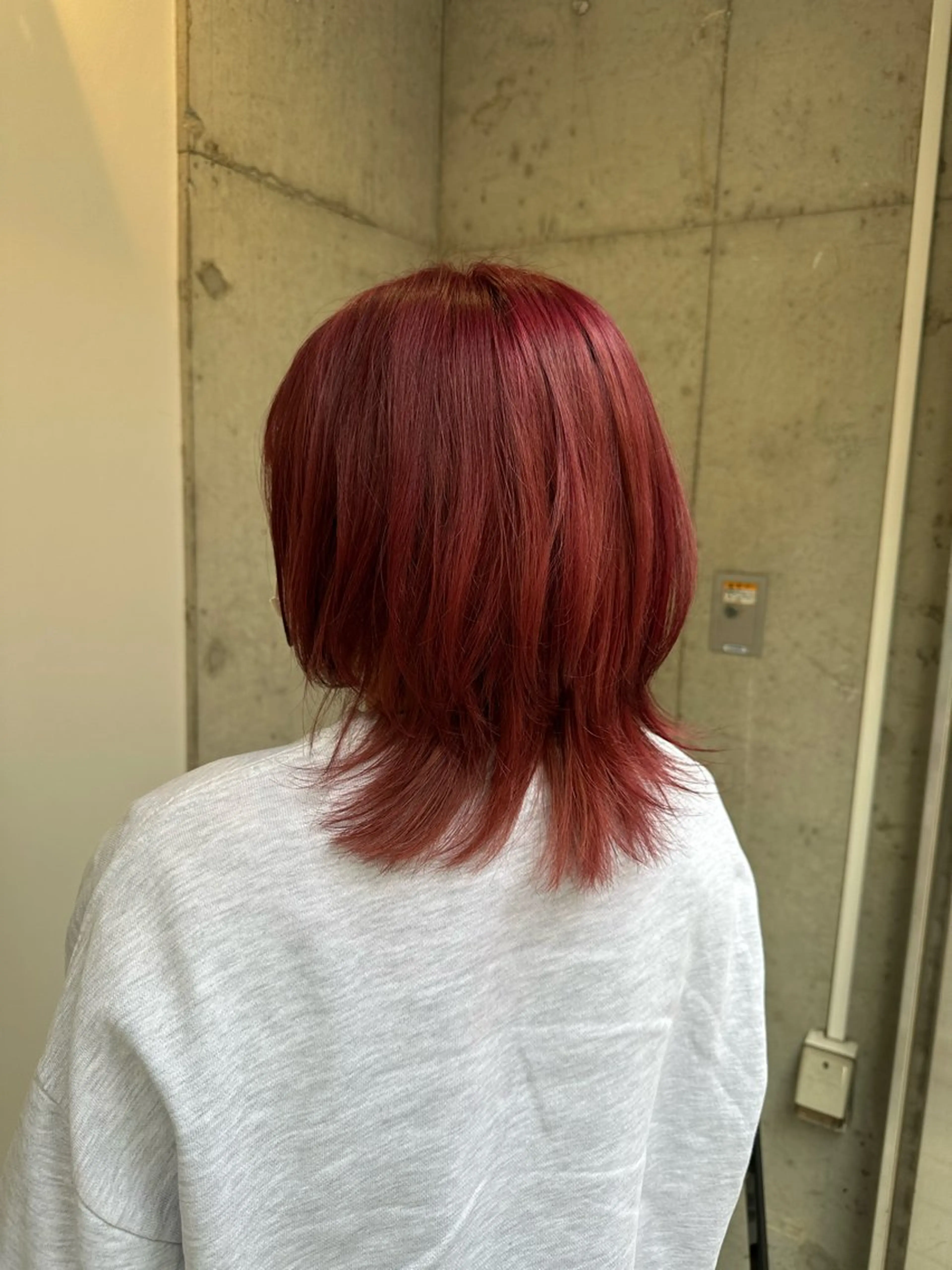 ミディアム ウルフカット 💜透明感カラー🌈 /森絵美莉⛄️❄️のヘアスタイル