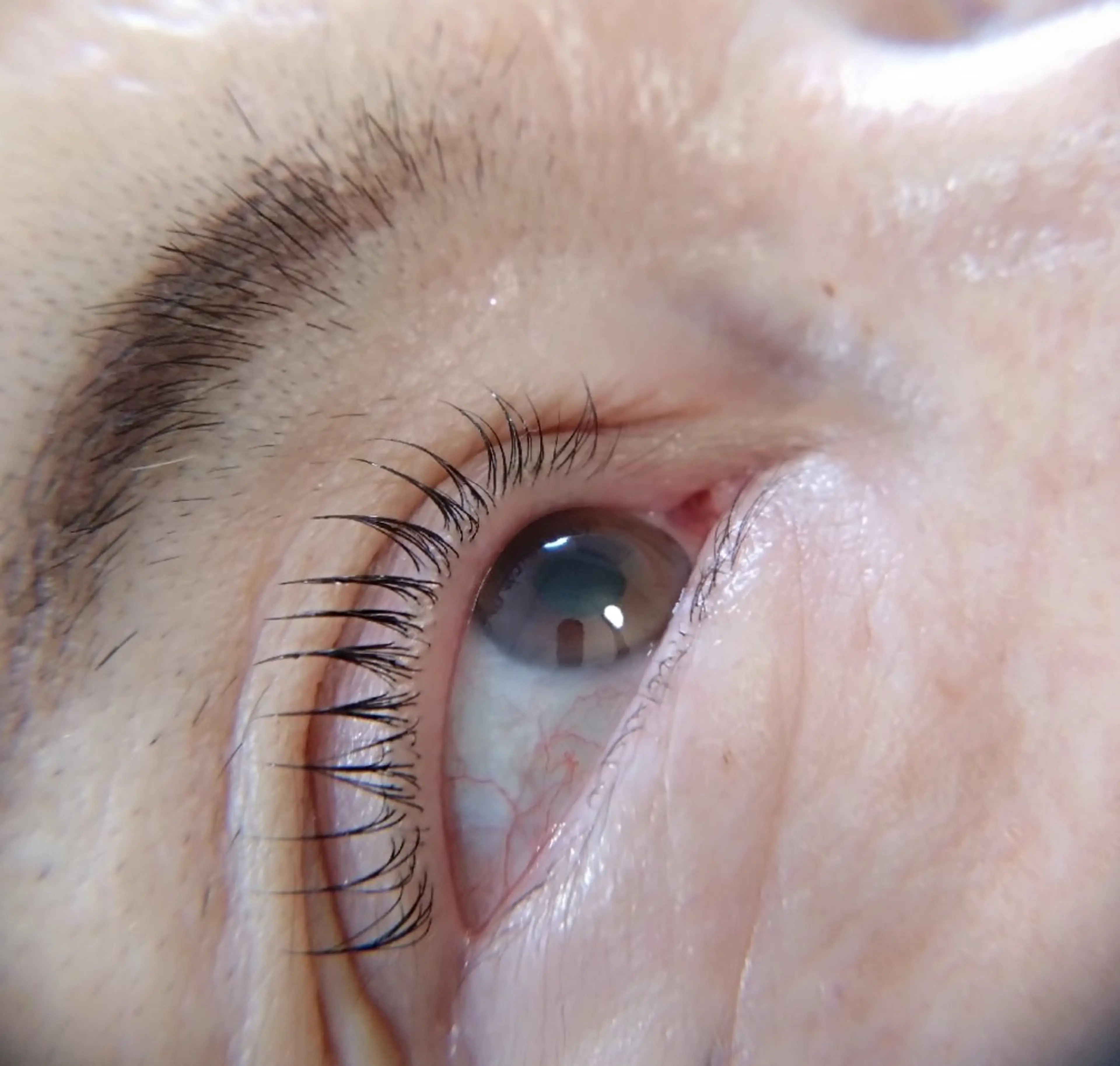 マツエク・マツパ Trip Salon Okuma所属・❤LEDまつぱ❤那覇 🅿️有、泉崎のマツエク・マツパデザイン