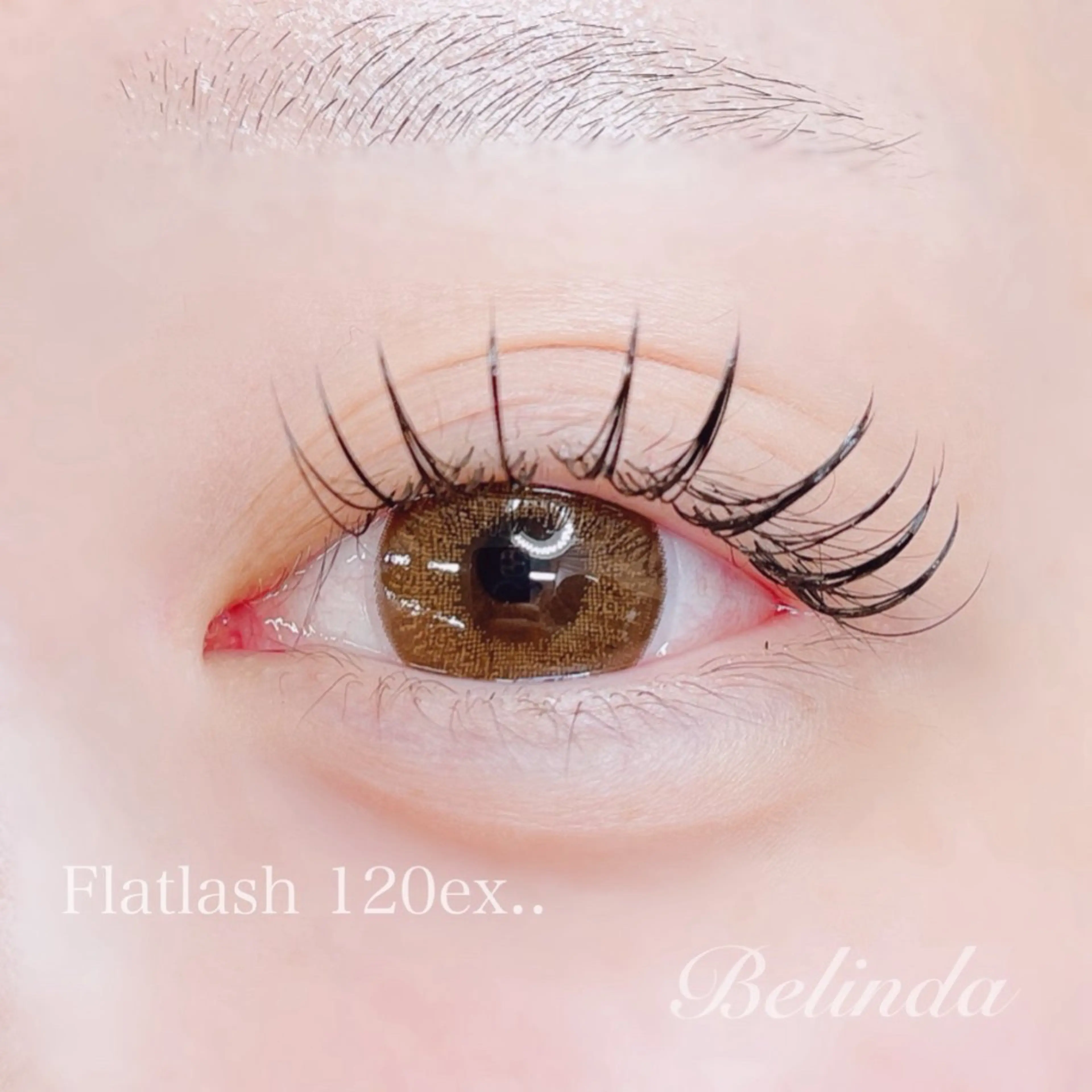 【セーブル】１２０本 オフ無し　　　　　　　《ﾌﾗｯﾄは＋1000円》の写真