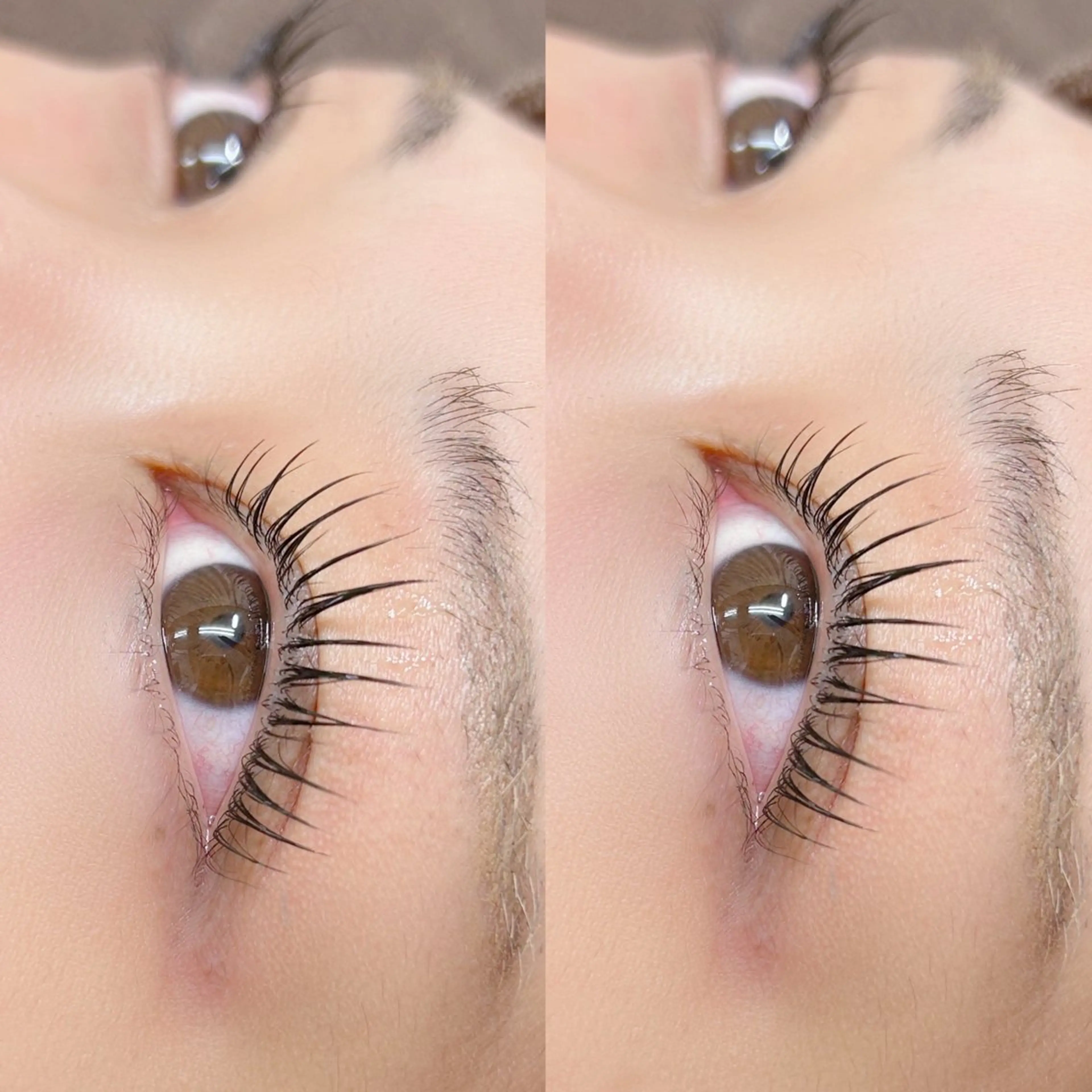 『ミニモ限定価格』 まつげパーマ🧸🪄の写真