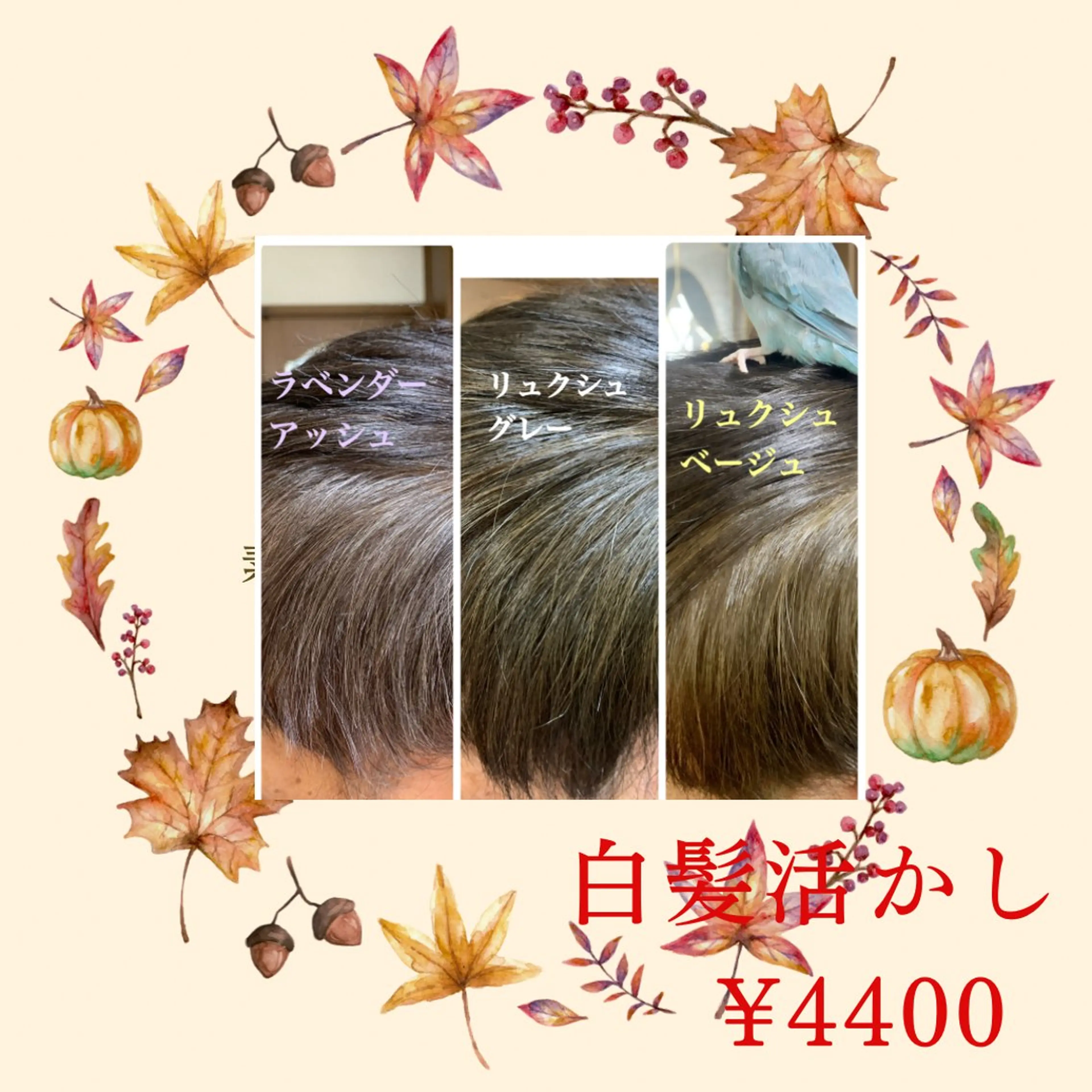 イルミナカラー白髪活かしの写真