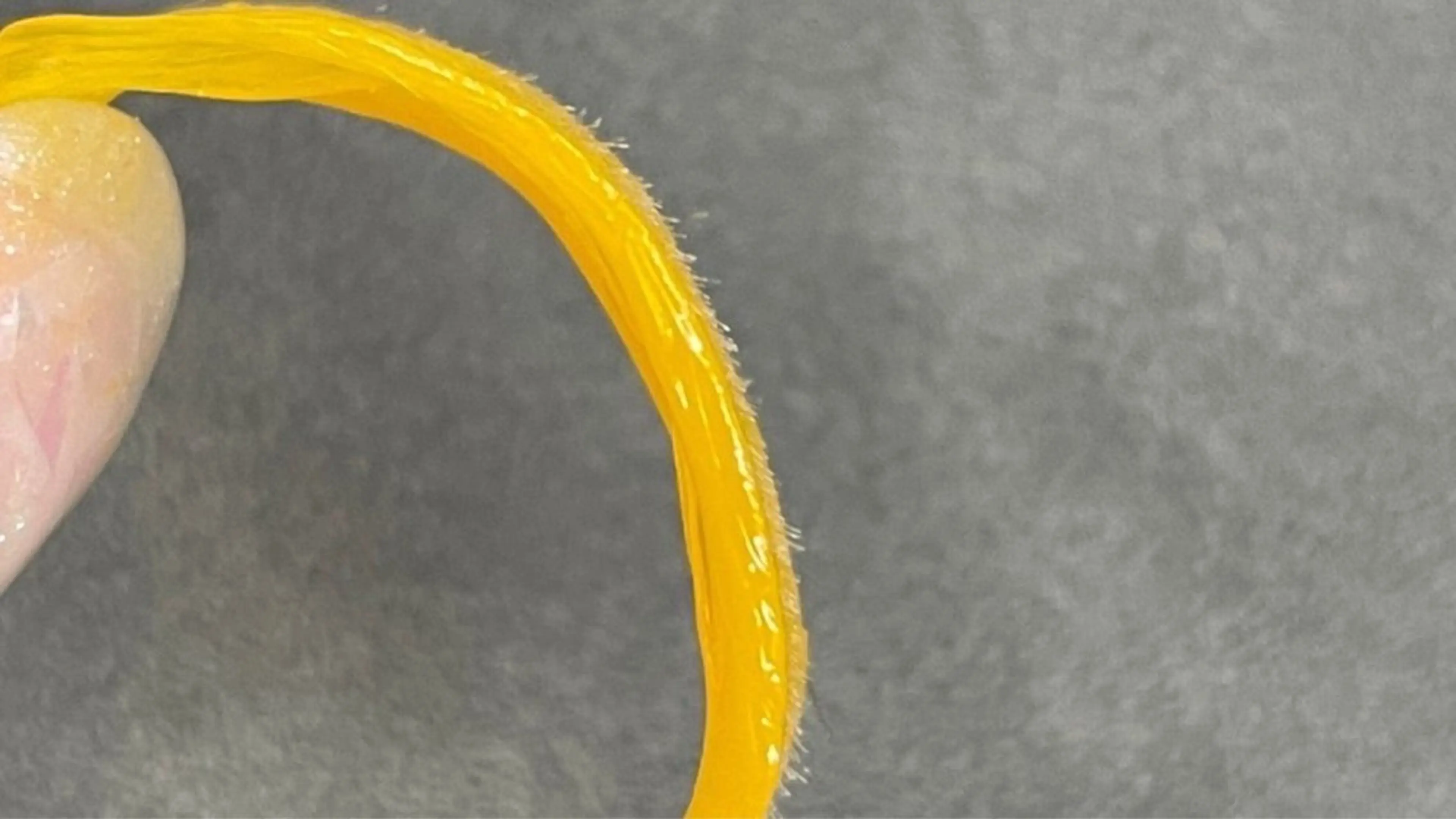 脱毛 An's beauty salon所属・An's アンズの眉毛・アイブロウイメージ