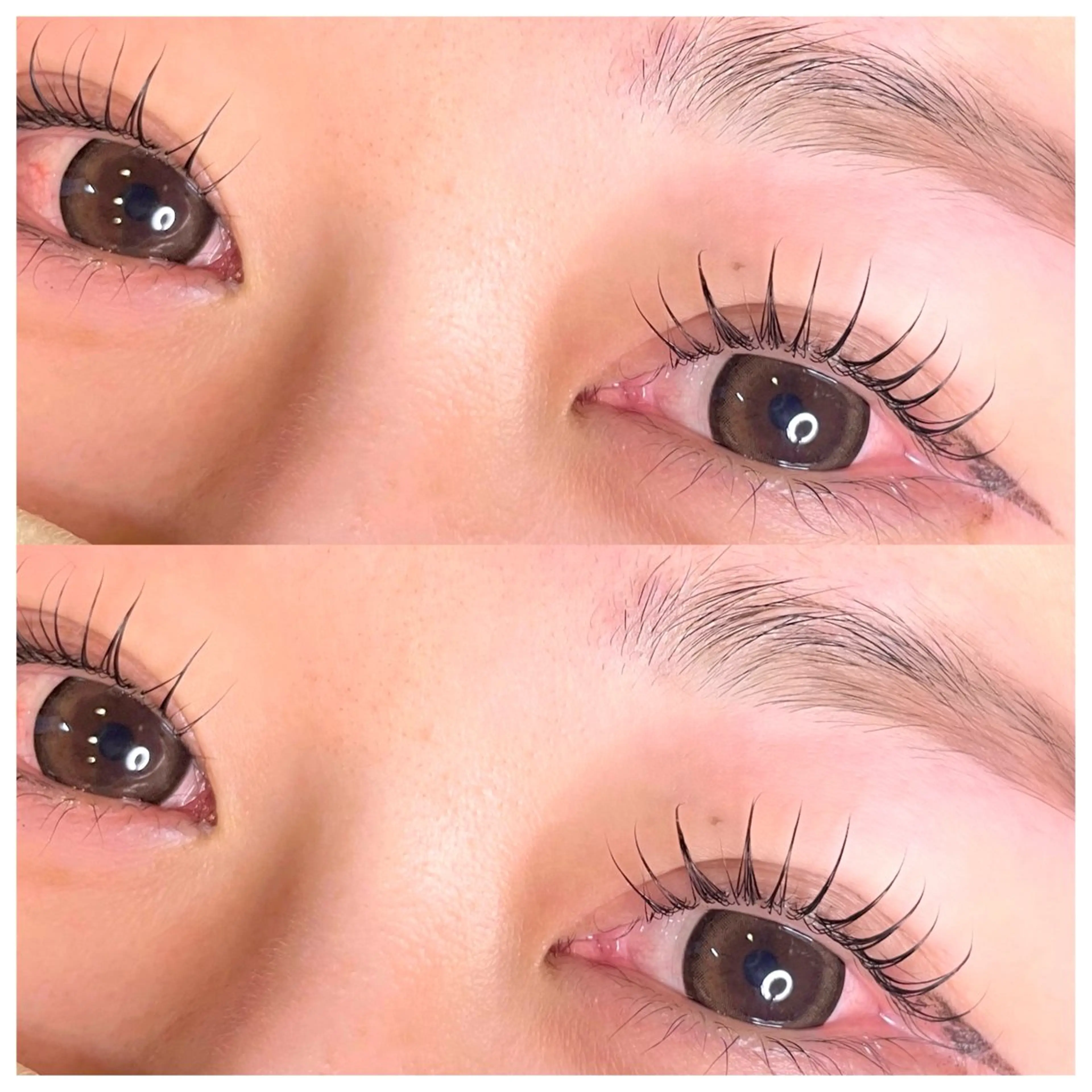 マツエク・マツパ Camarón まつ毛&眉毛サロンのマツエク・マツパデザイン