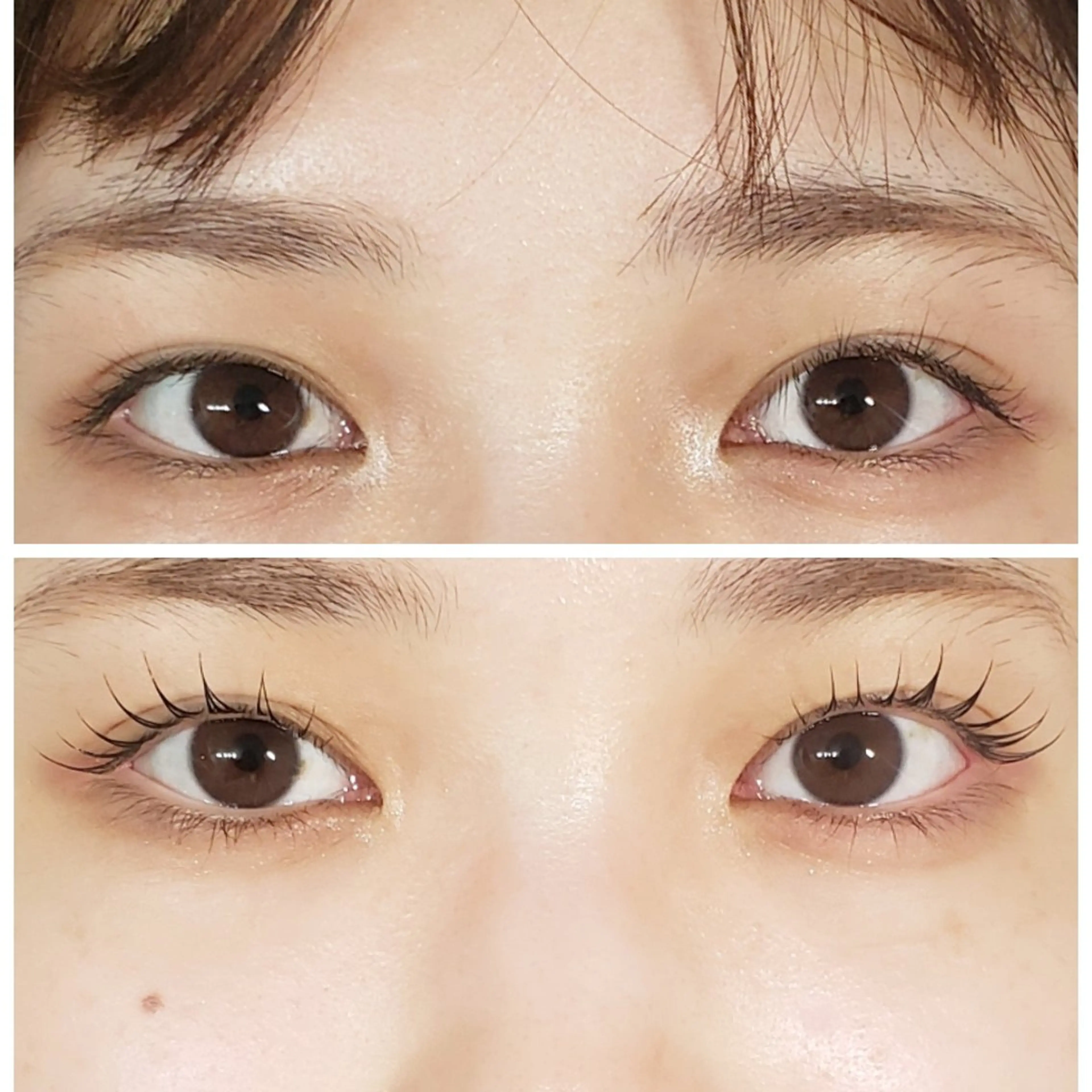 マツエク・マツパ 束感まつ毛 韓国風マツエク マツパ EBRIS浦和店 ☆ M a n aのマツエク・マツパデザイン