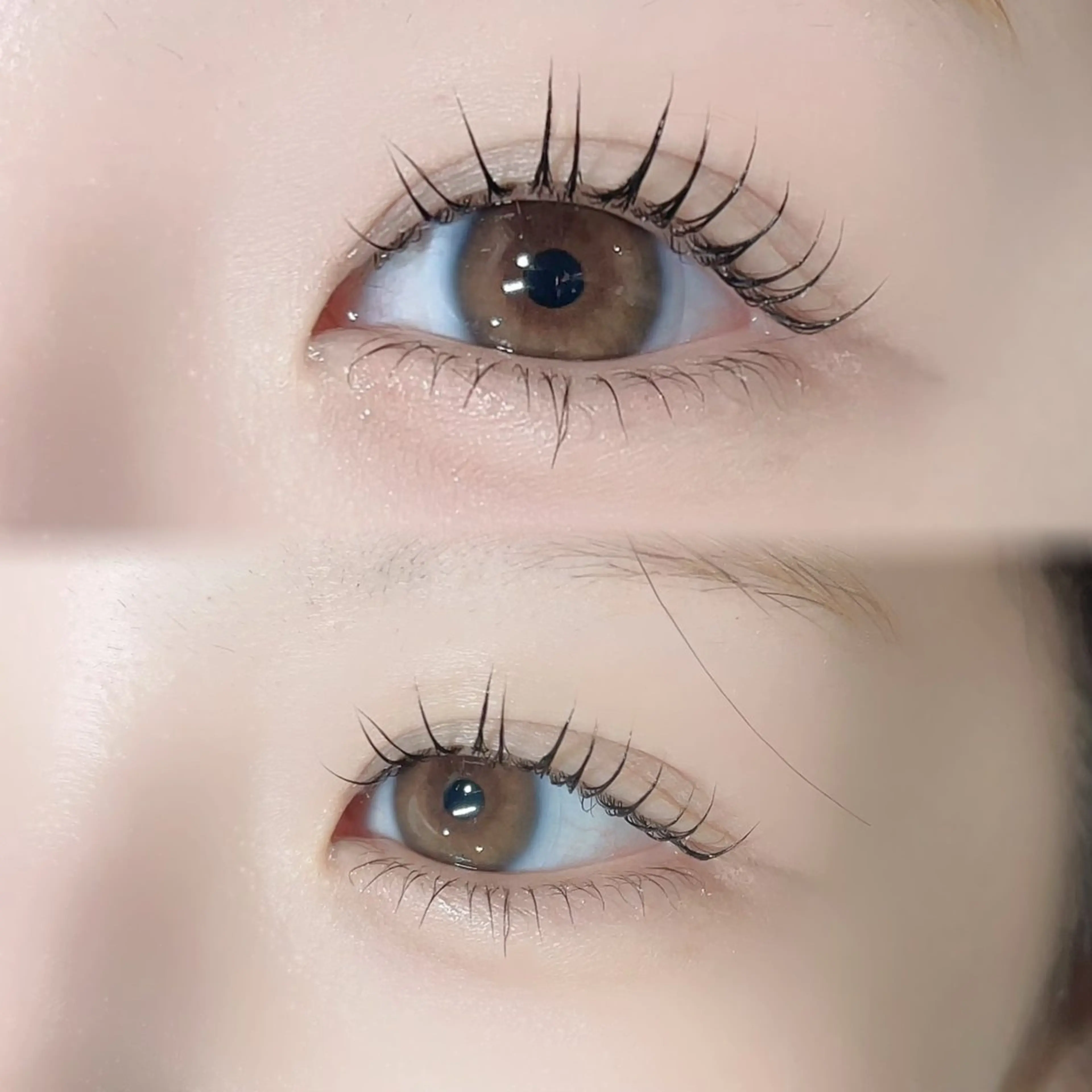 ✨🩰ᩚ꒰ 上下 ꒱🩰ᩚ✨まつげパーマ✩⡱中顔面短縮効果✨の写真