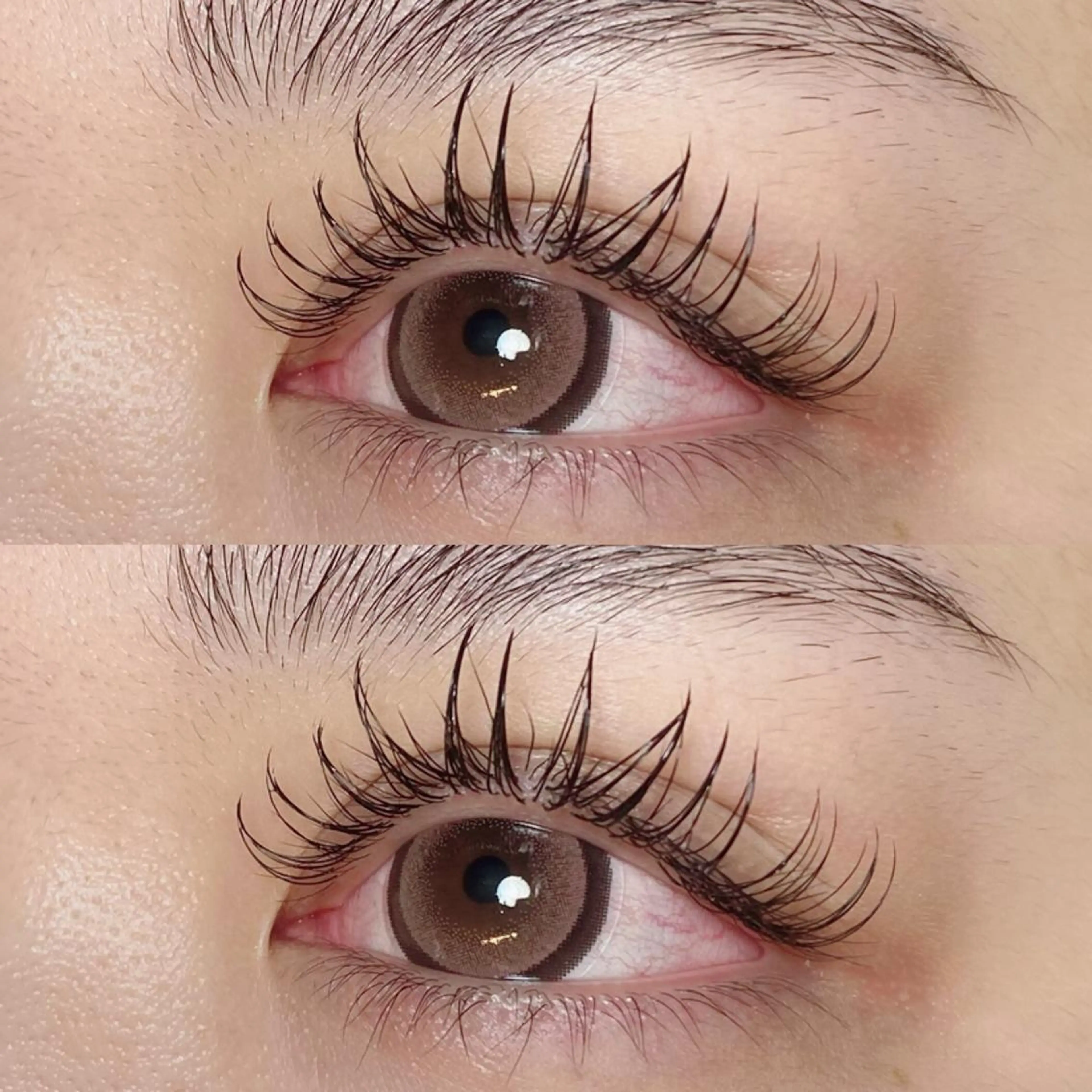 マツエク・マツパ Favori 川上のマツエク・マツパデザイン