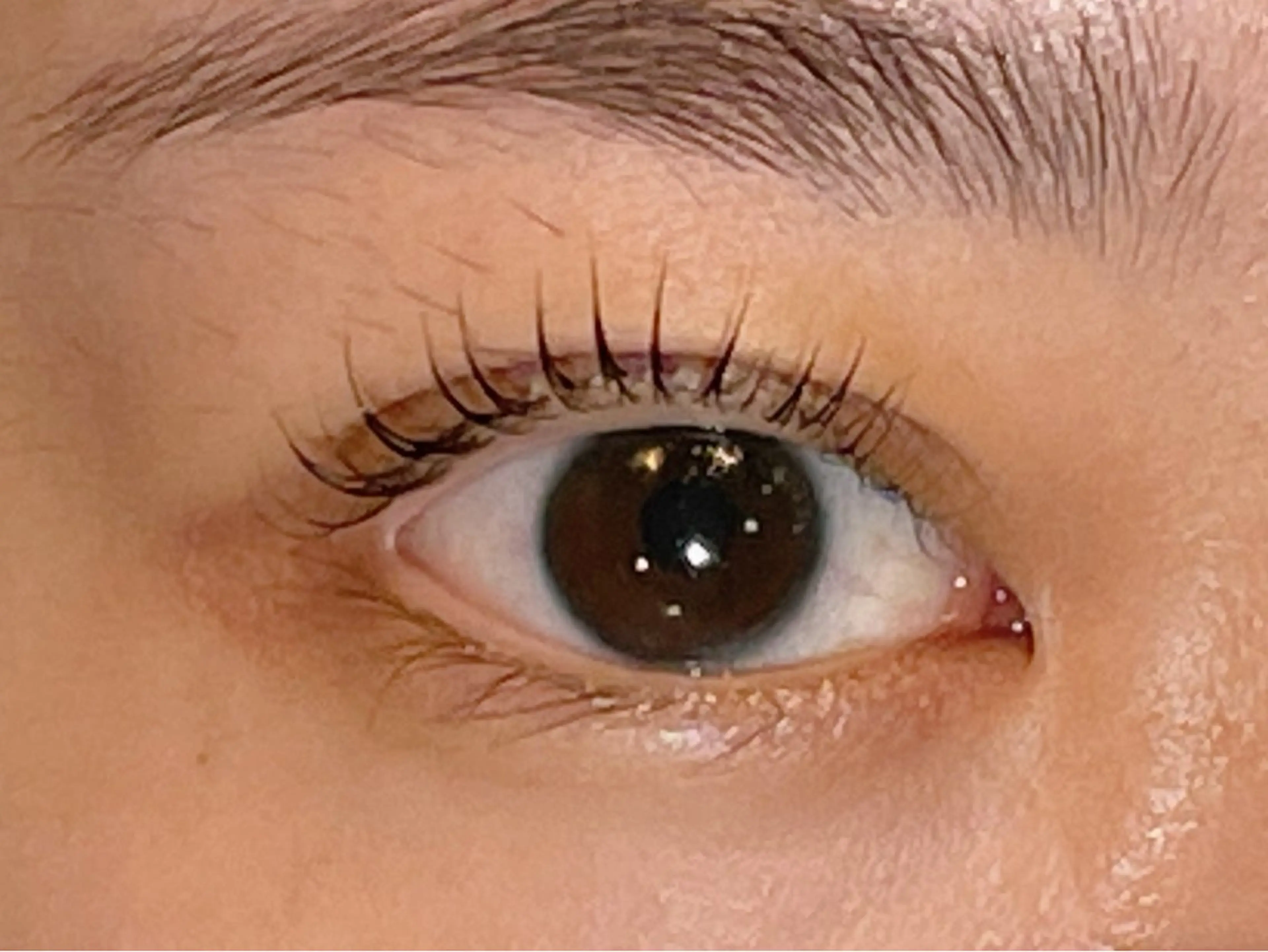 マツエク・マツパ マツパ 𝐞𝐢𝐠𝐡𝐭 YUKARI🐰💜のマツエク・マツパデザイン