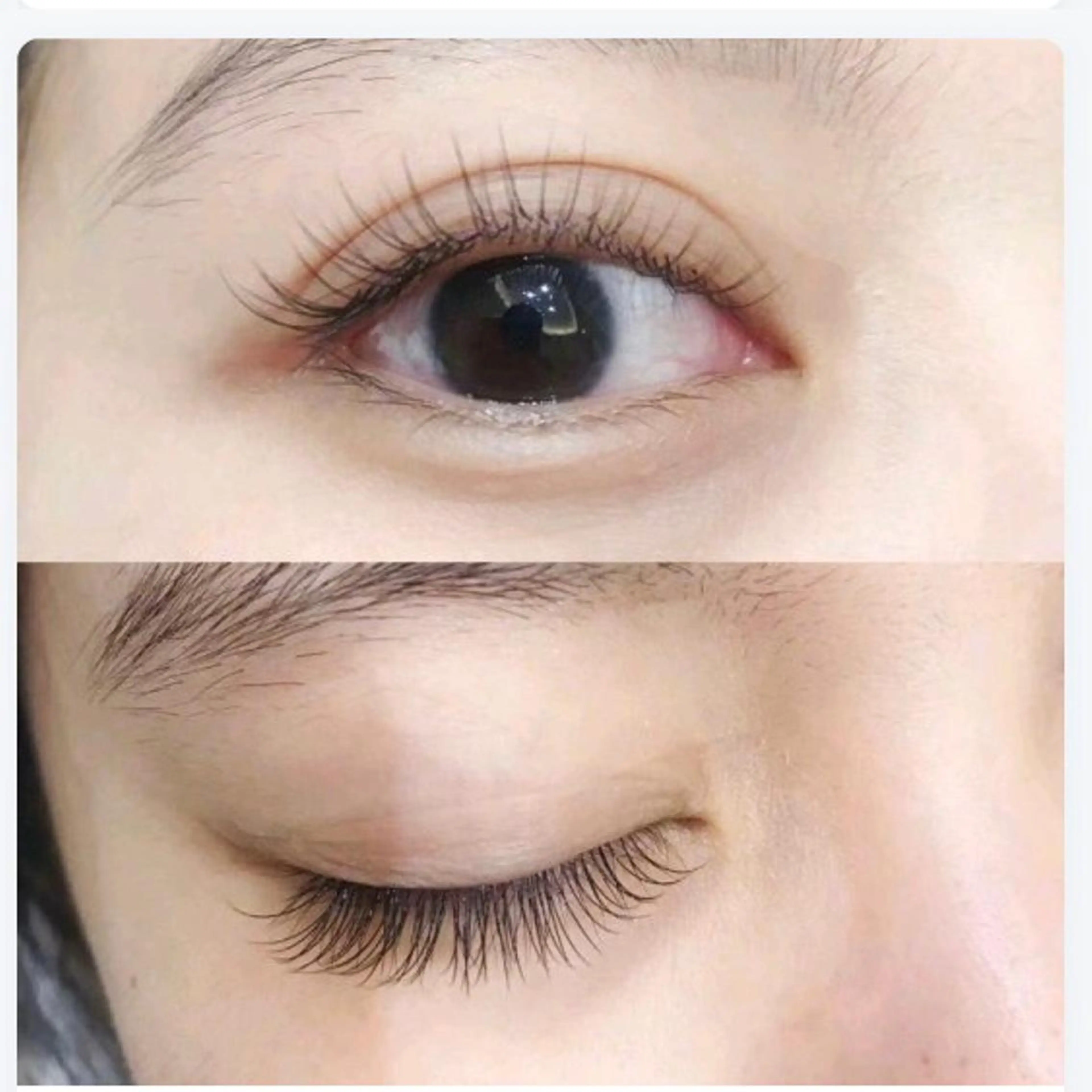 最高級エーアセーブル100本新規様初回はオフ無料、二回目からオフ➕500円になりますの写真