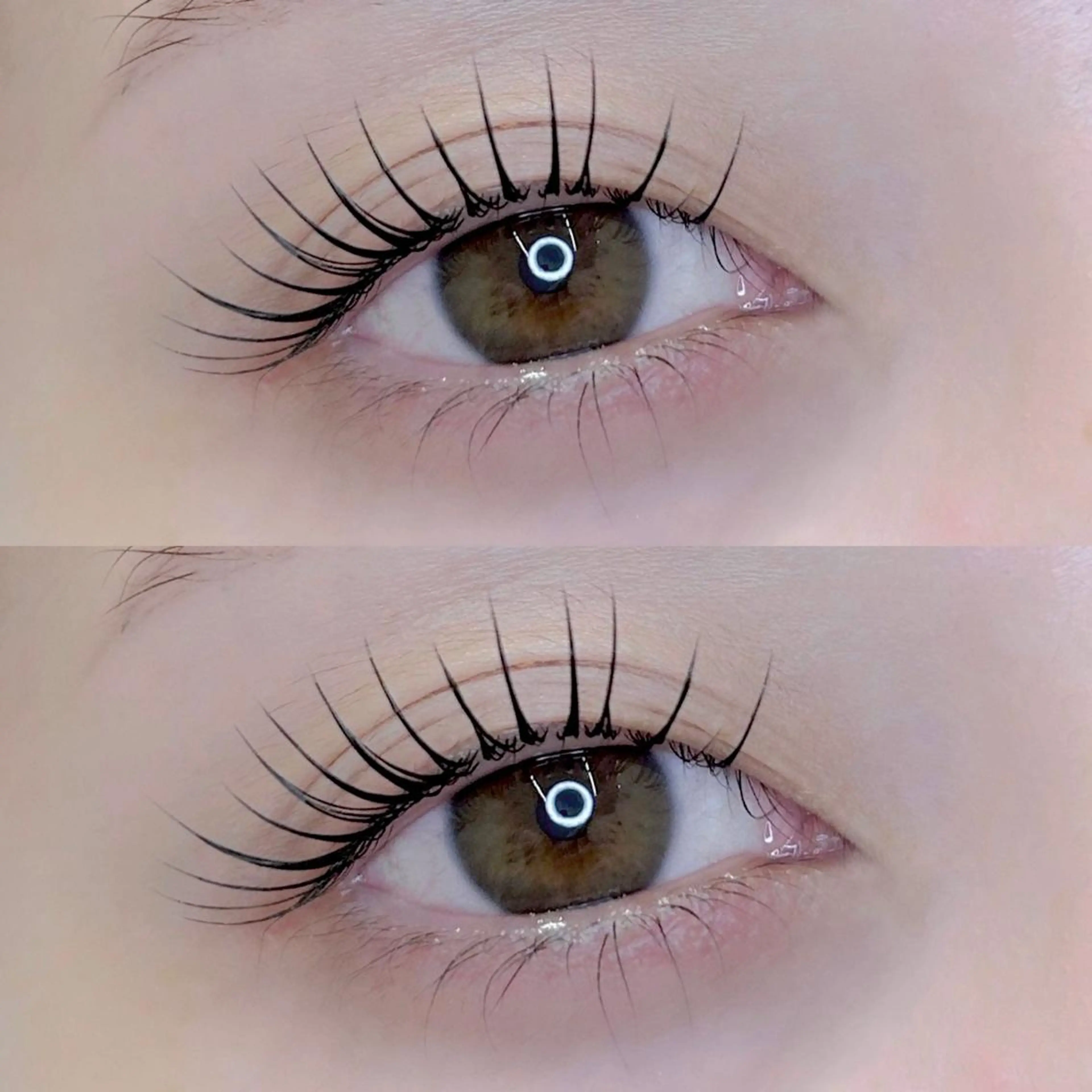 【ご新規様限定価格】似合わせラッシュリフト | 上まつげの写真