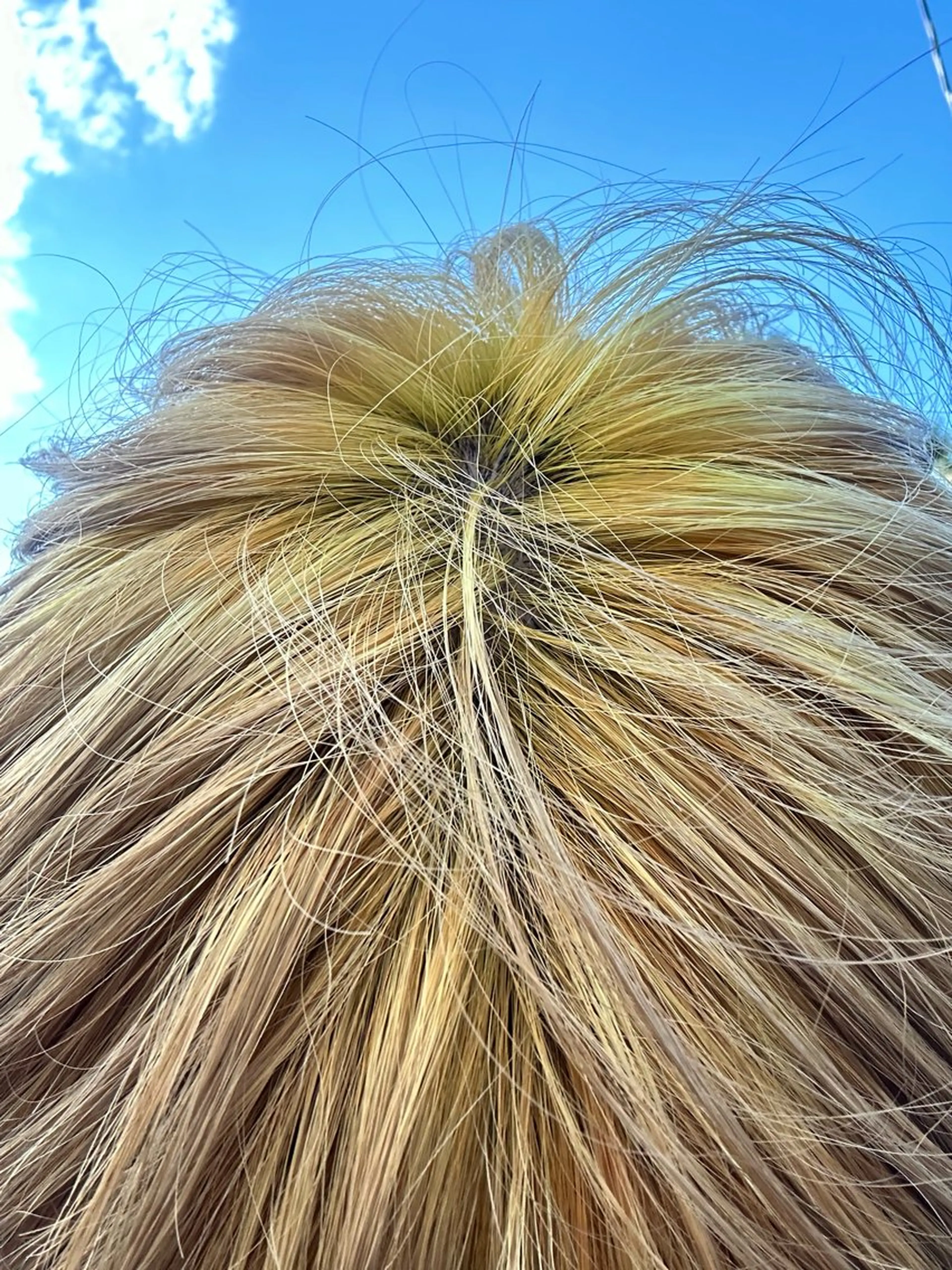 カラー メンズ tote. 成瀬晃のヘアスタイル