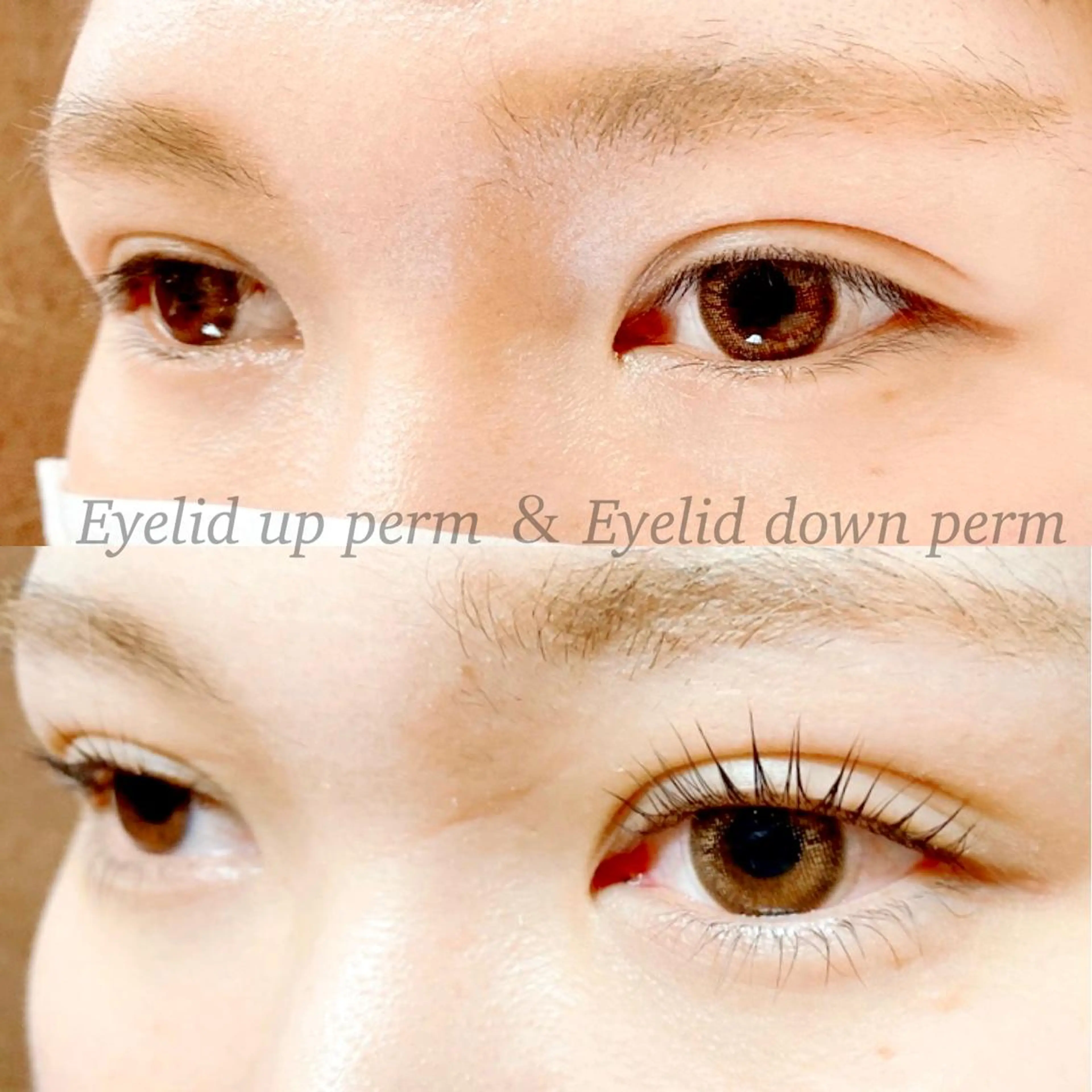 マツエク・マツパ Lash Re：のマツエク・マツパデザイン