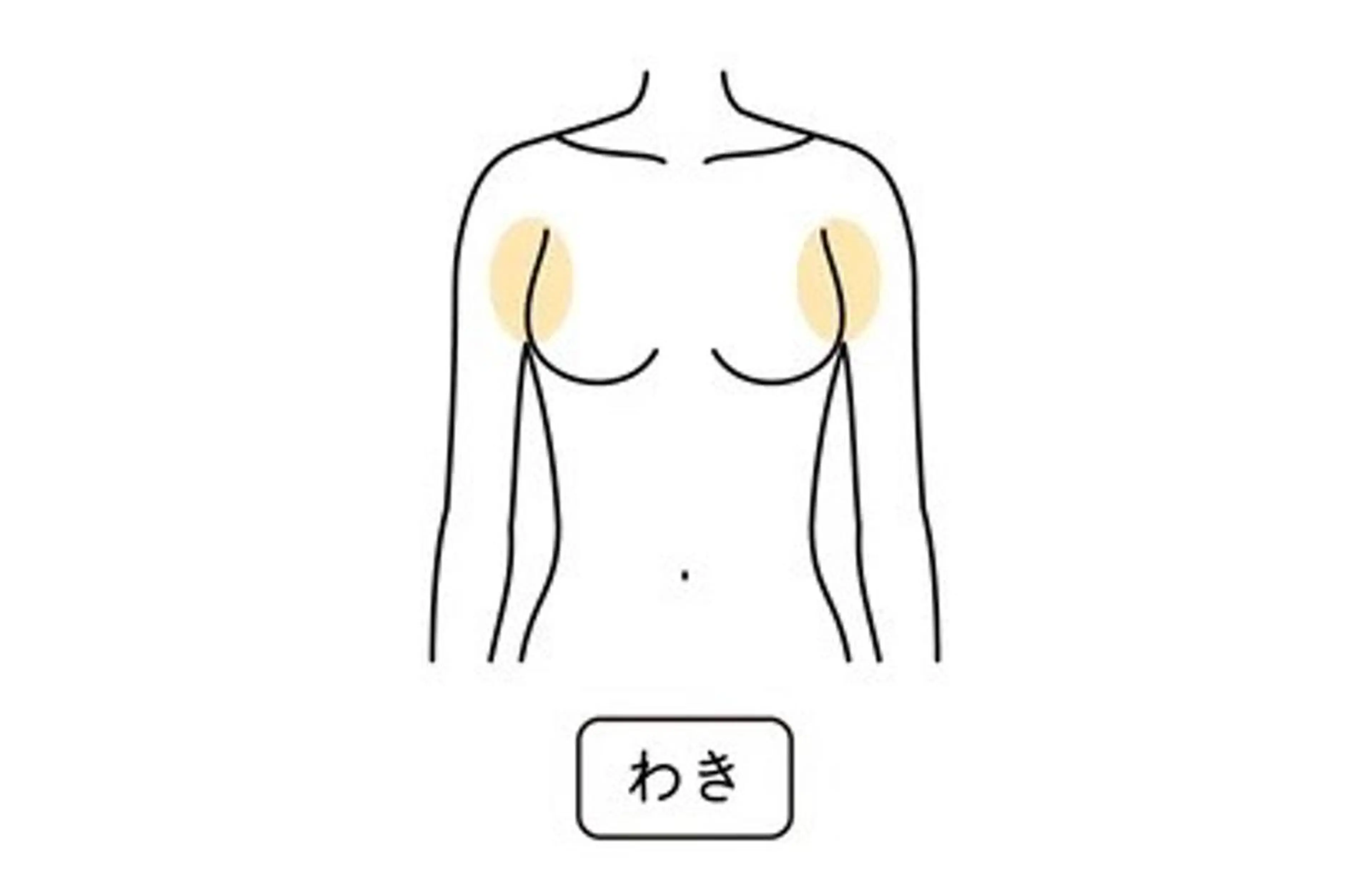 【メンズ・女性】【最新LED脱毛】両ワキ脱毛の写真