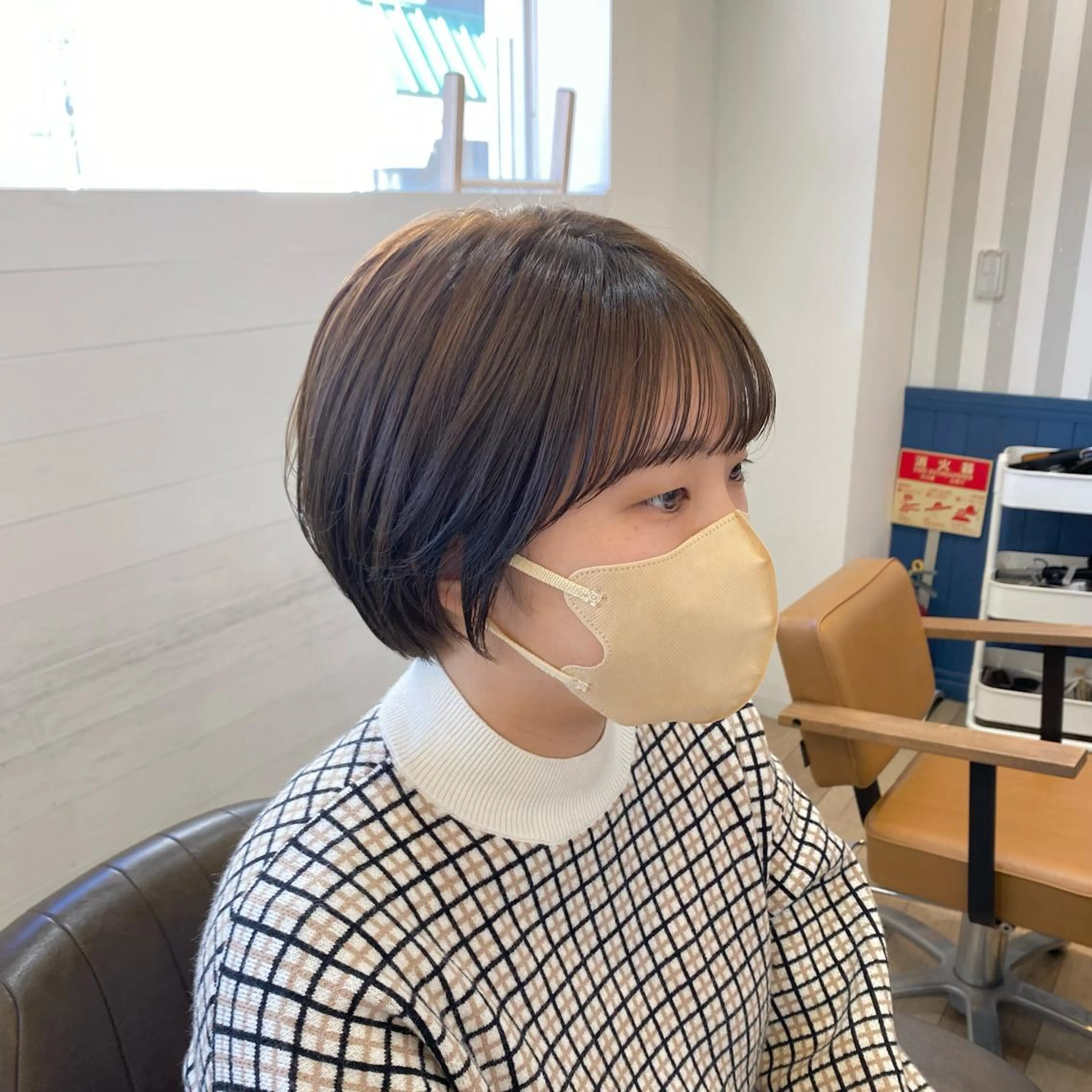 ショート カラー 丸みショート ショートヘア sol Amiのヘアスタイル