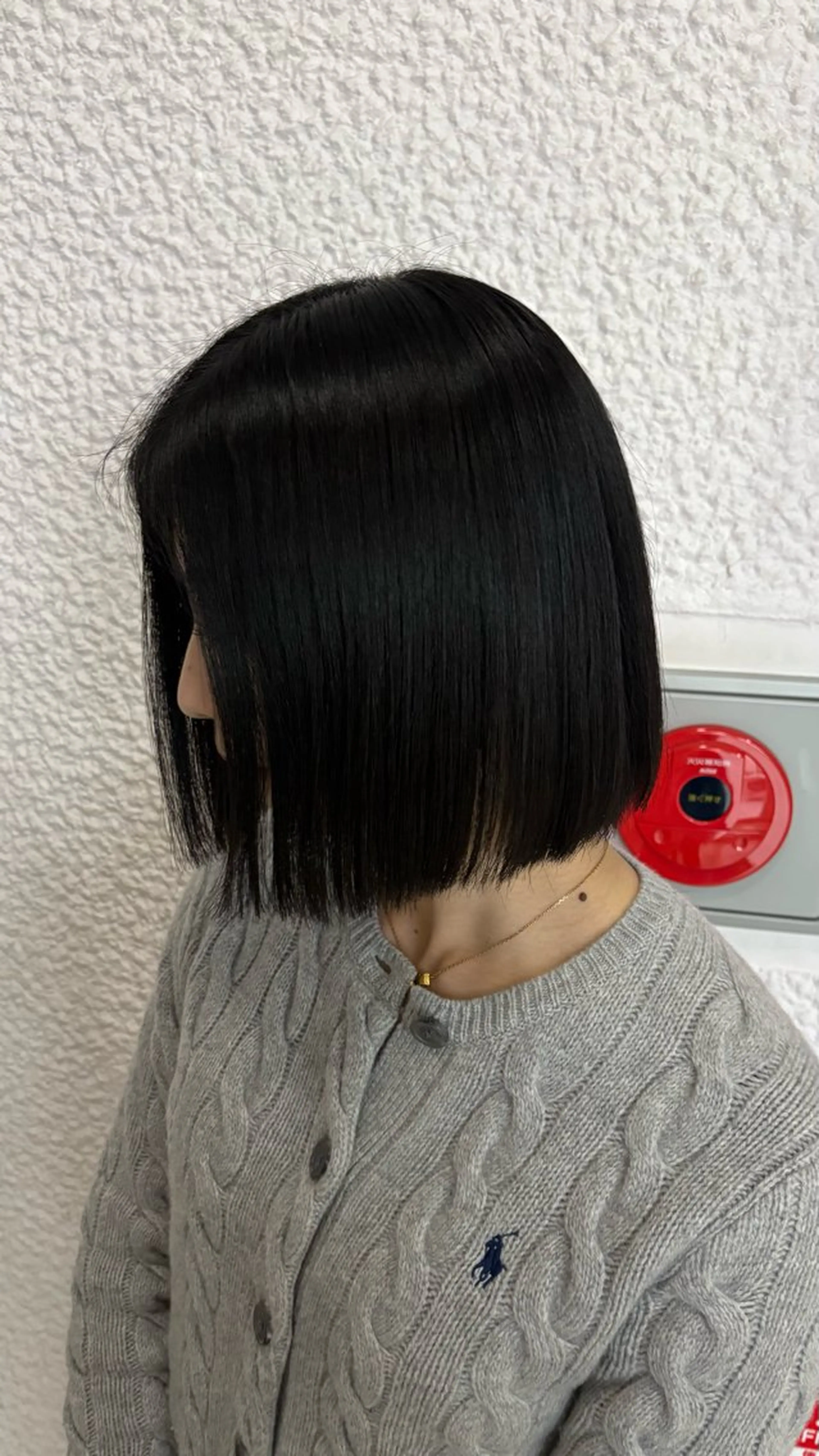 ショート 透明感カラー🍨🪞 ruriha🤍のヘアスタイル