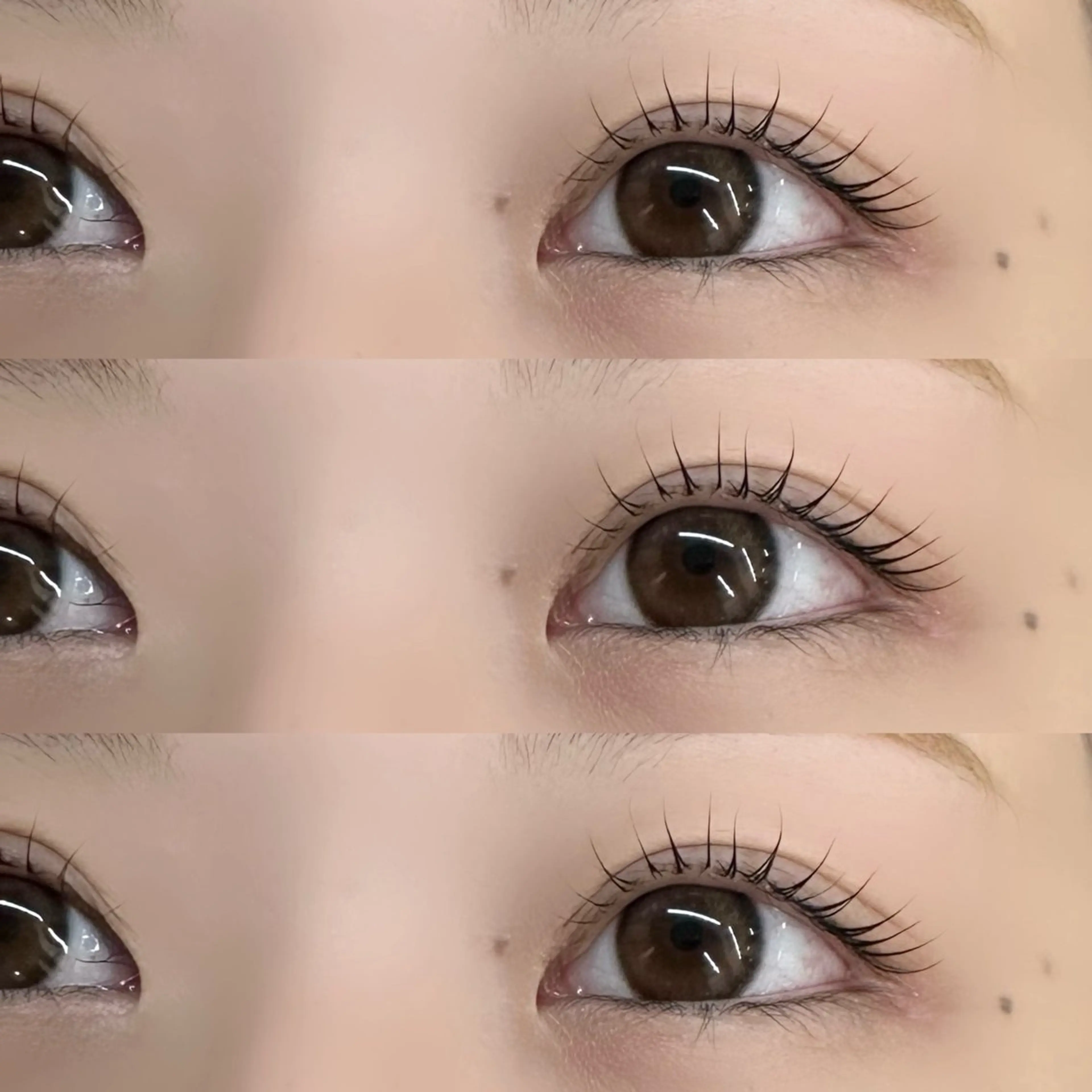 マツエク・マツパ 🦋Code.🦋 eyelash🩵の眉毛・アイブロウイメージ