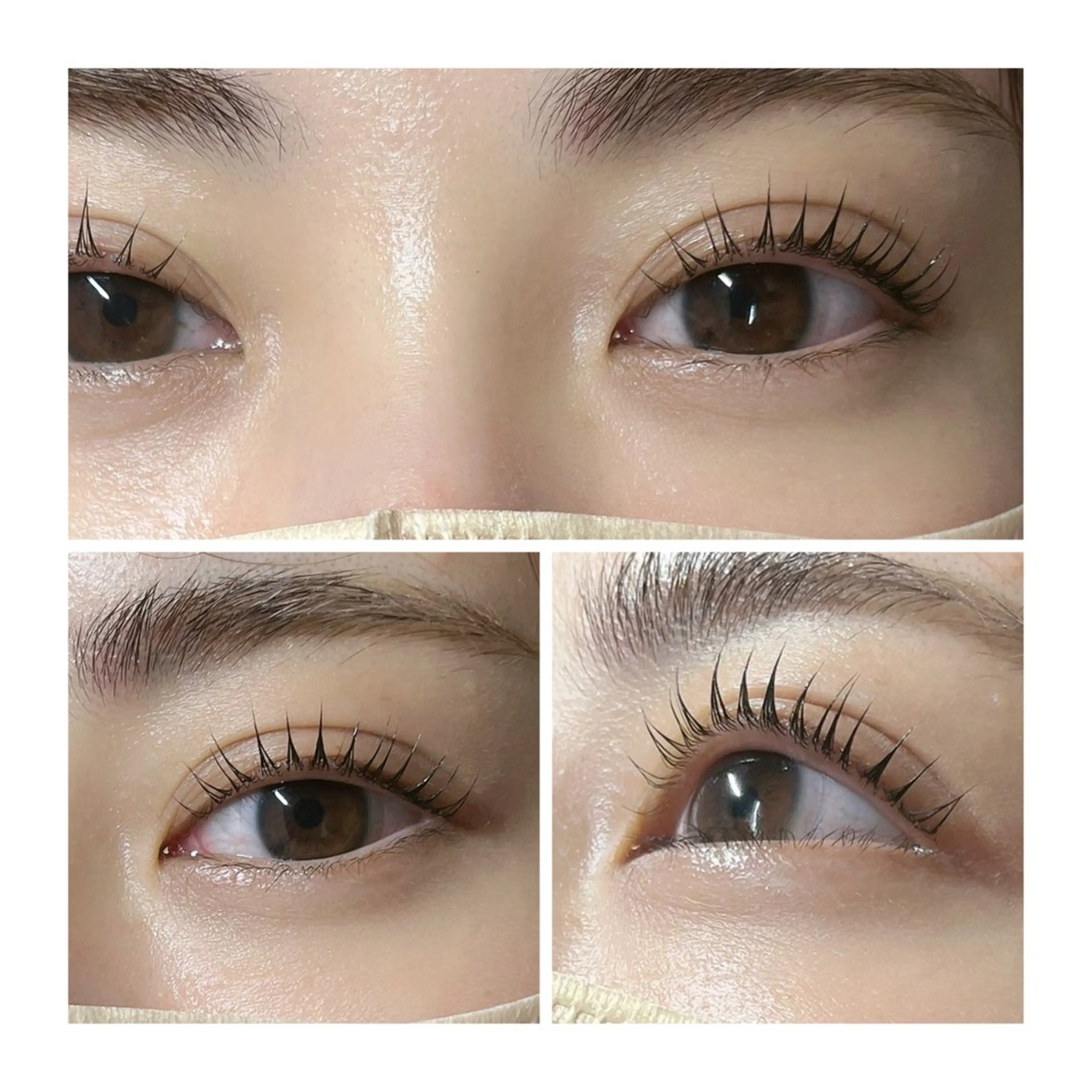 ご新規様☀️束感マツゲパーマ🫧コーティング付きの写真