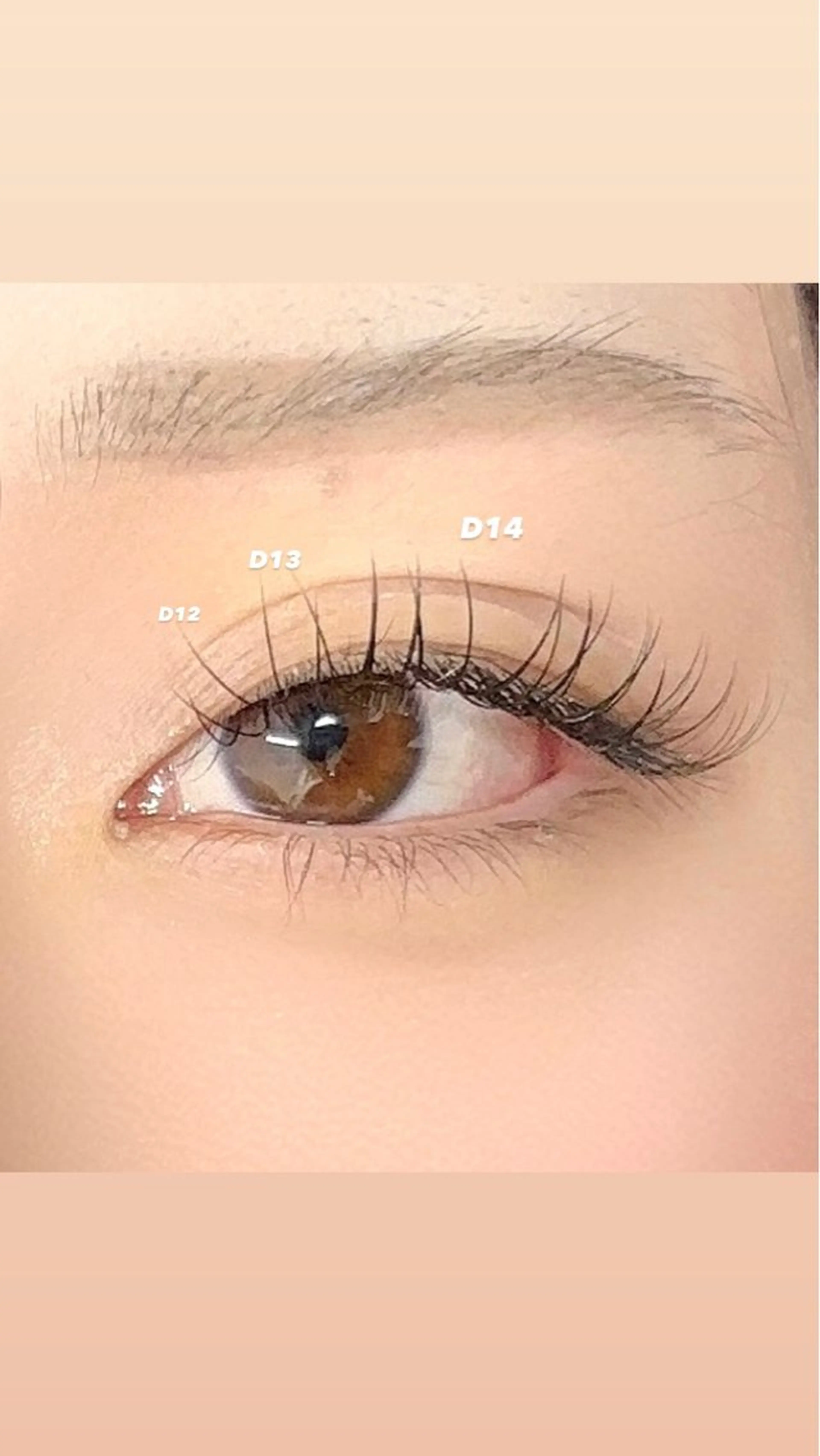 マツエク・マツパ フラットラッシュ Ayumi.dre 🐹H〈2階〉のマツエク・マツパデザイン