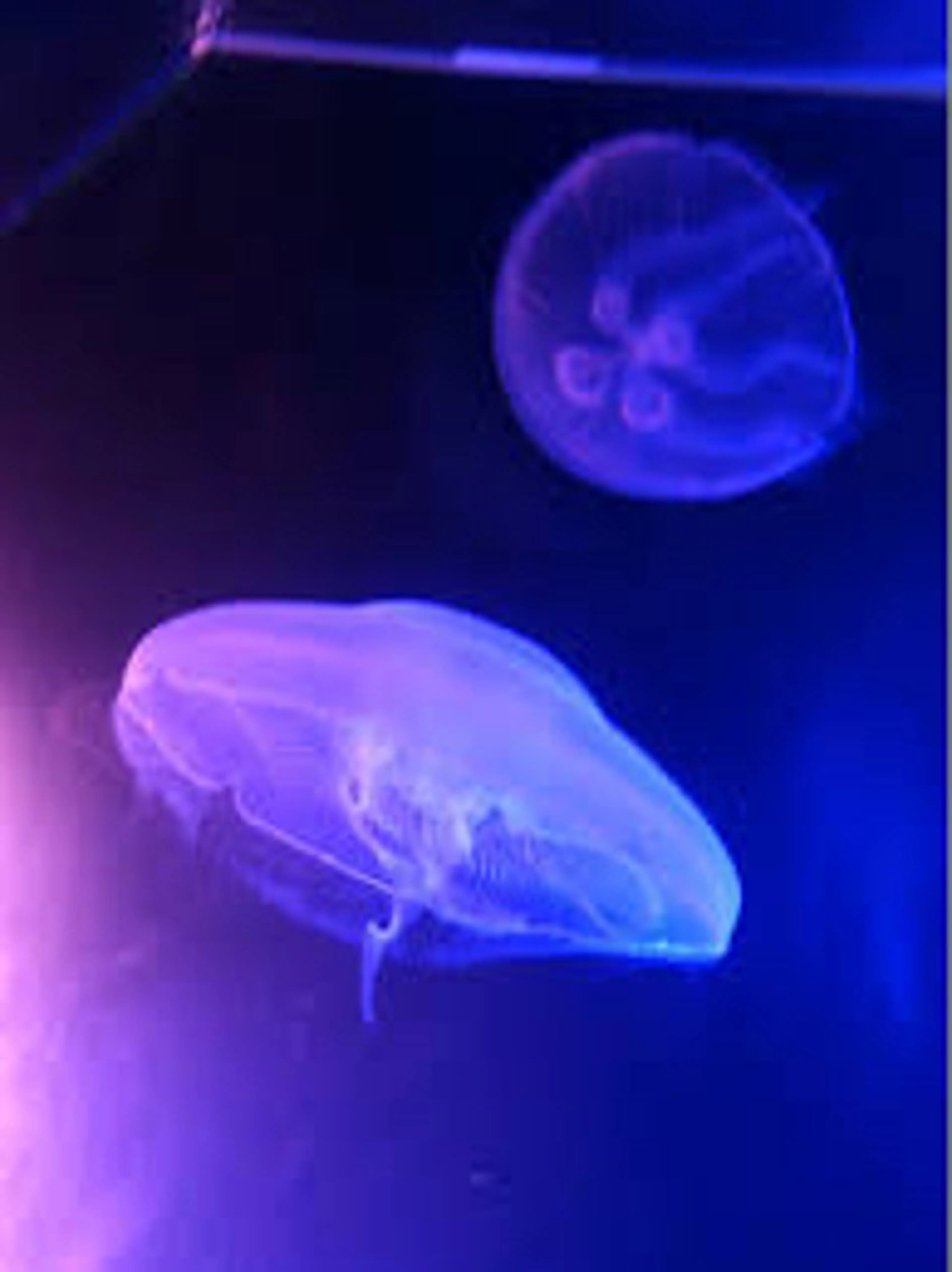 ネイル free hug Hiromiのネイルデザイン