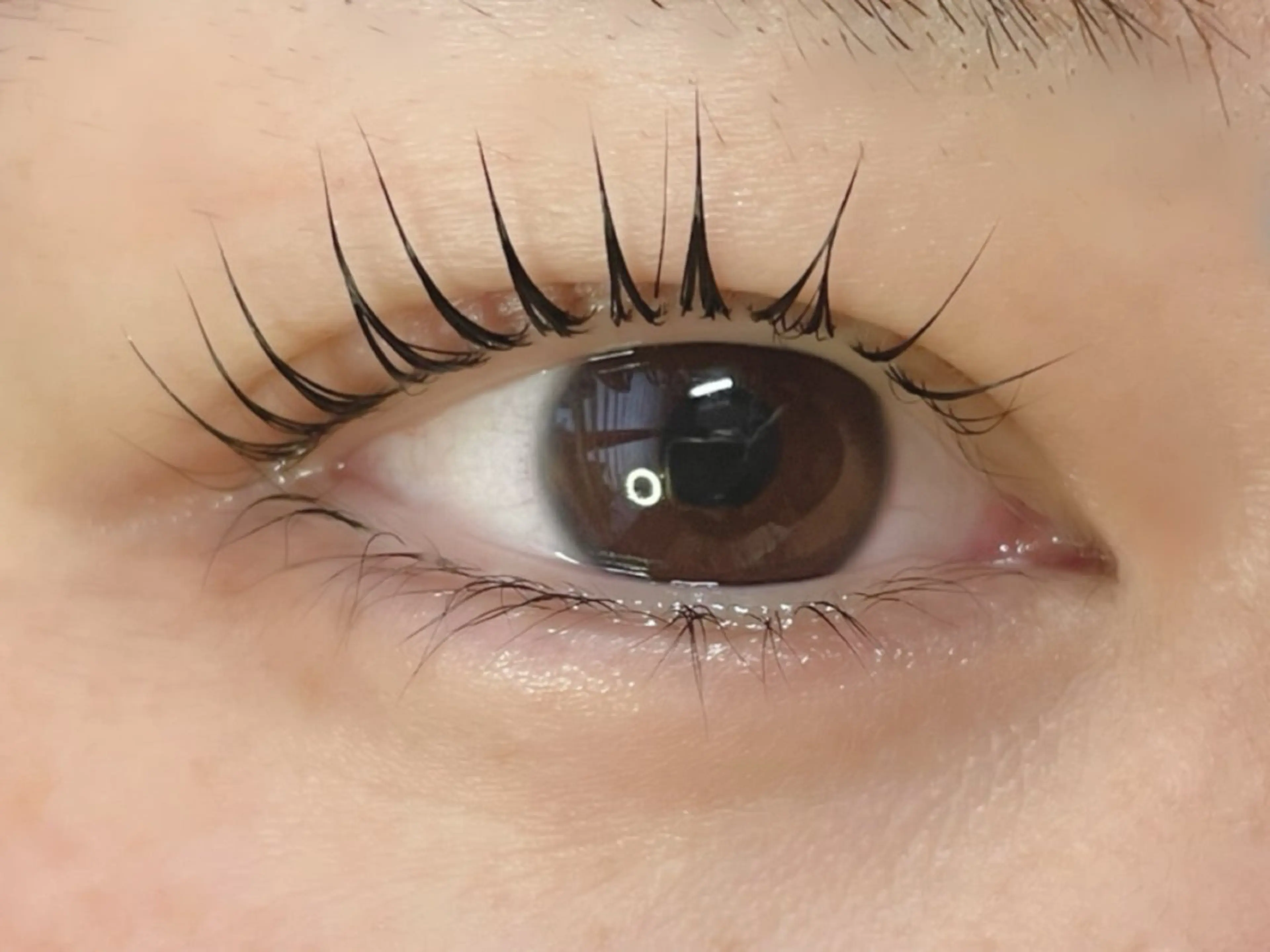 マツエク・マツパ パリジェンヌラッシュリフト マツパ TOPアイリスト ふたつぎちさとのマツエク・マツパデザイン