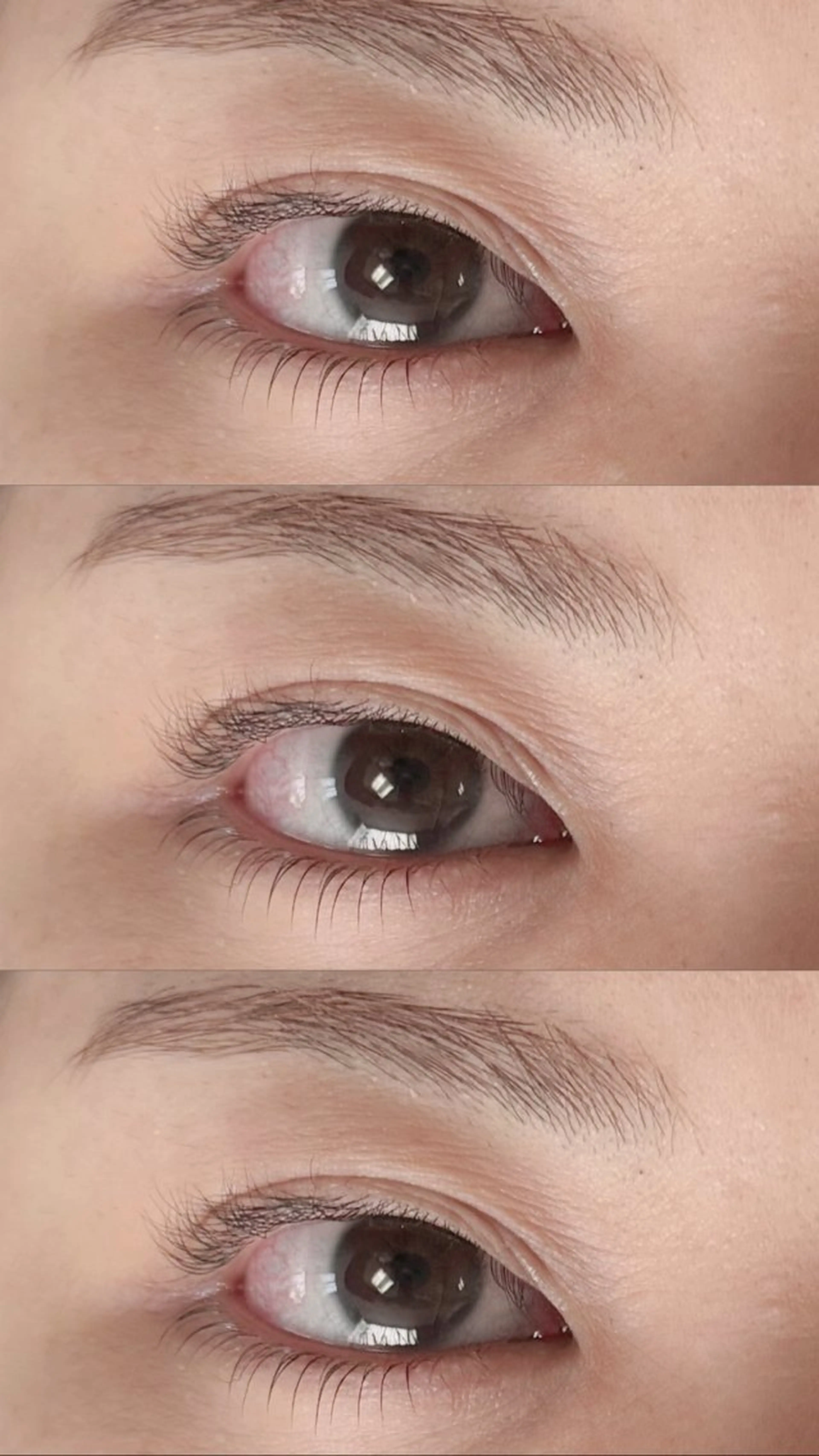 マツエク・マツパ ☁️️꙳⟡ kaho☁️️꙳⟡の眉毛・アイブロウイメージ