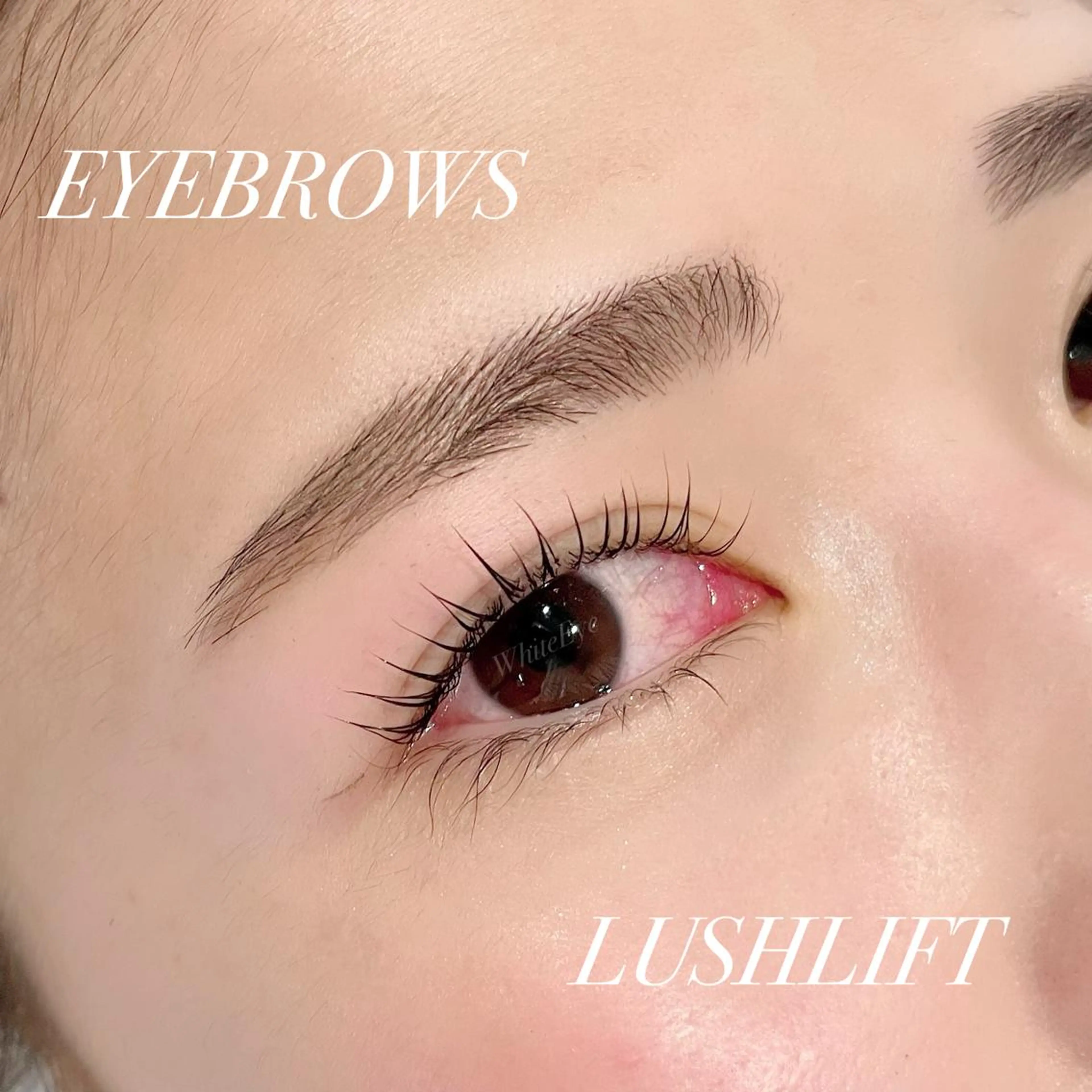 マツエク・マツパ マツパ ホワイトアイ HIKARUの眉毛・アイブロウイメージ