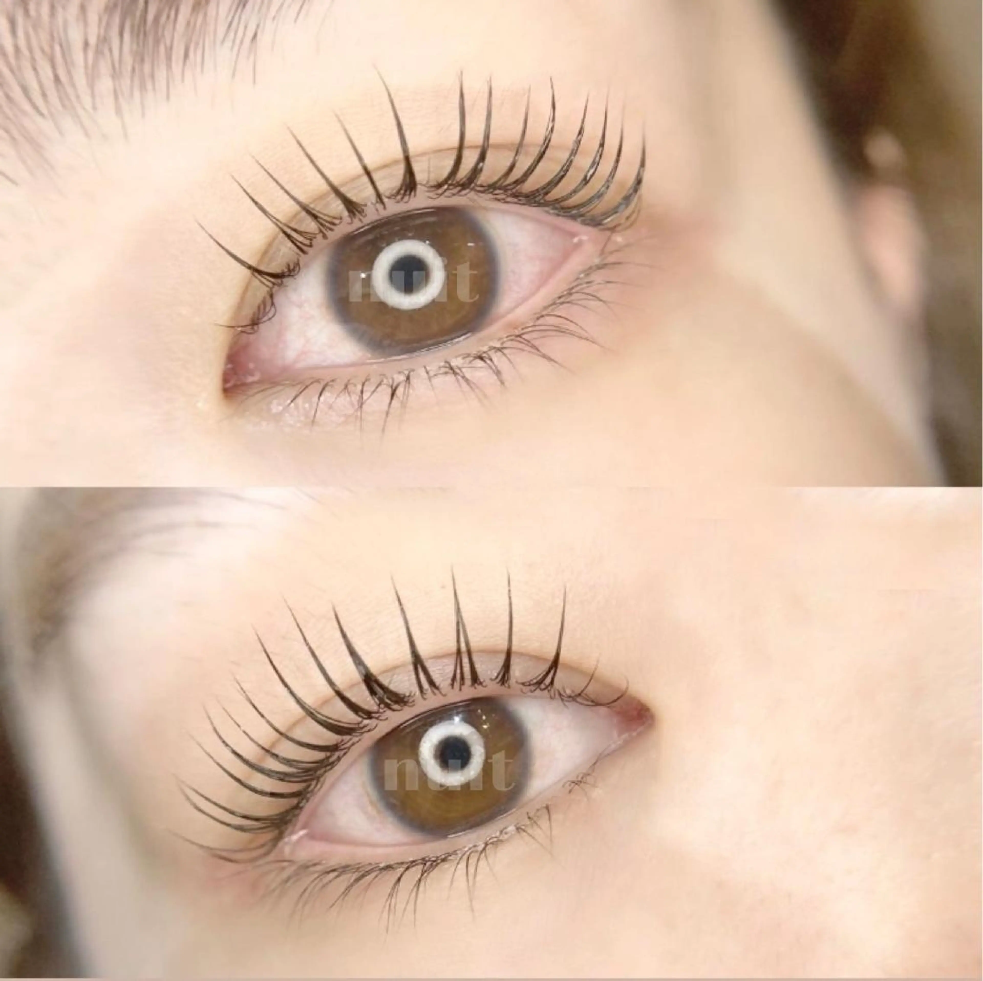 マツエク・マツパ パリジェンヌラッシュリフト eyelash  salon  nuit【ニュイ】所属・nuit 【ニュイ】 大宮 /　yucaのマツエク・マツパデザイン