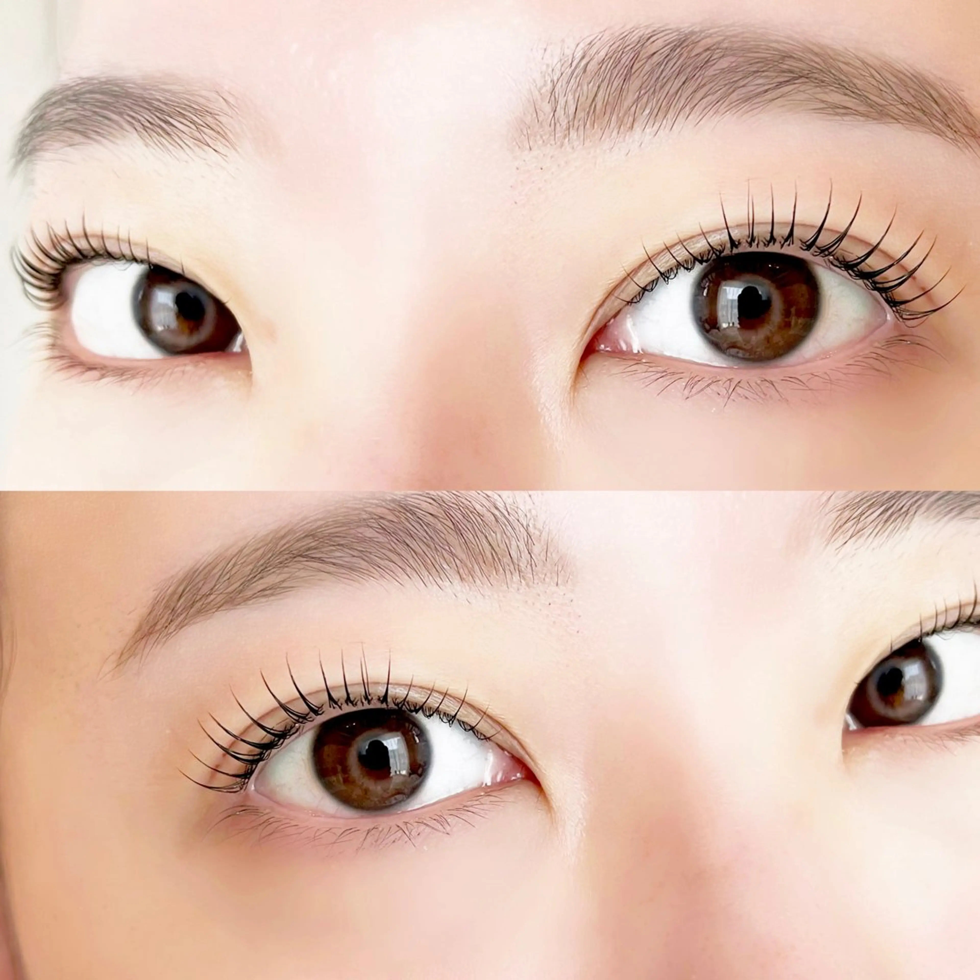 🟢８月末ミニモ掲載終了🟢同時施術【まつげパーマ&黄金比・美眉WAXスタイリング🦩】トリートメント付き✨の写真