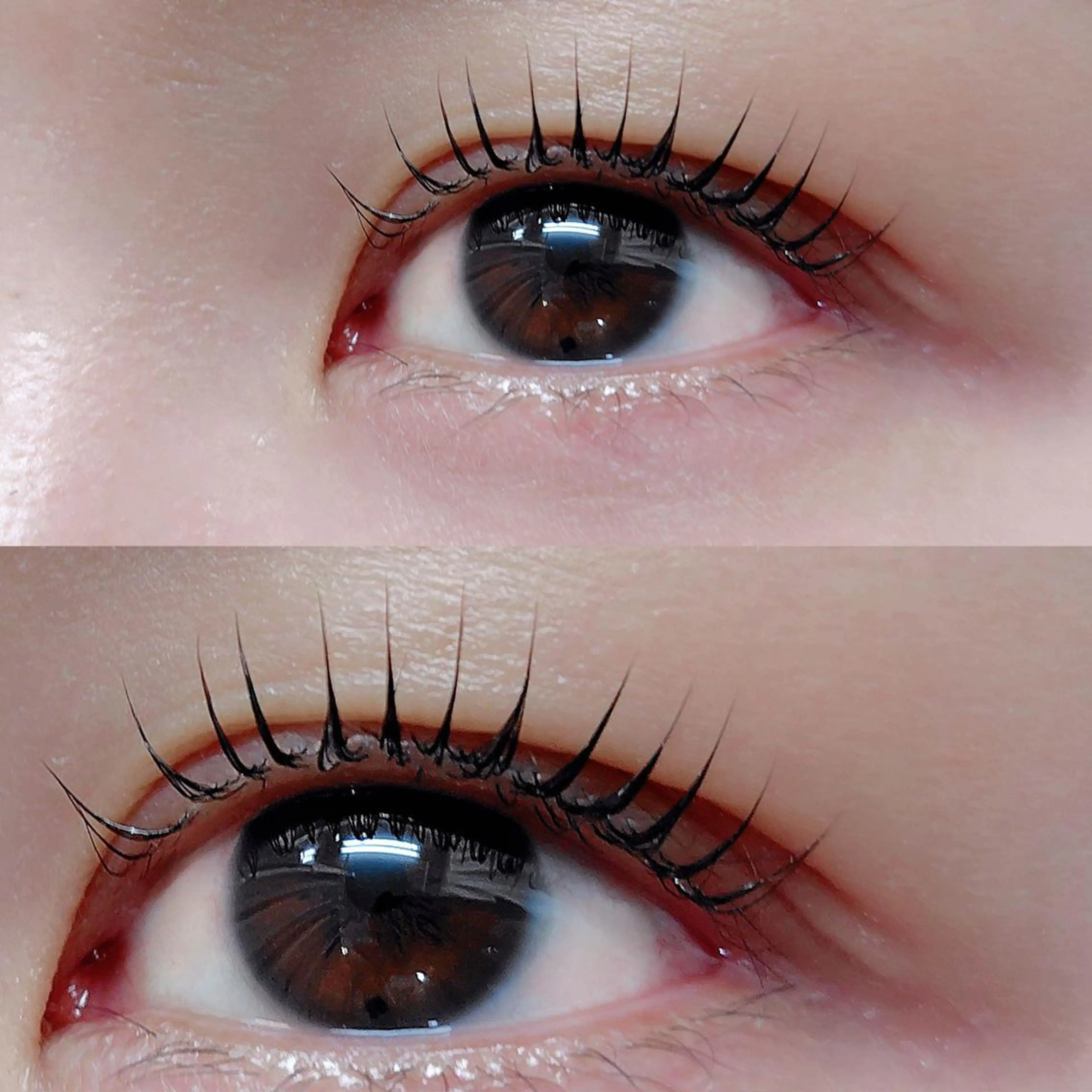 マツエク・マツパ Dカール まつげパーマ専門店 シャルナ 上野店のマツエク・マツパデザイン