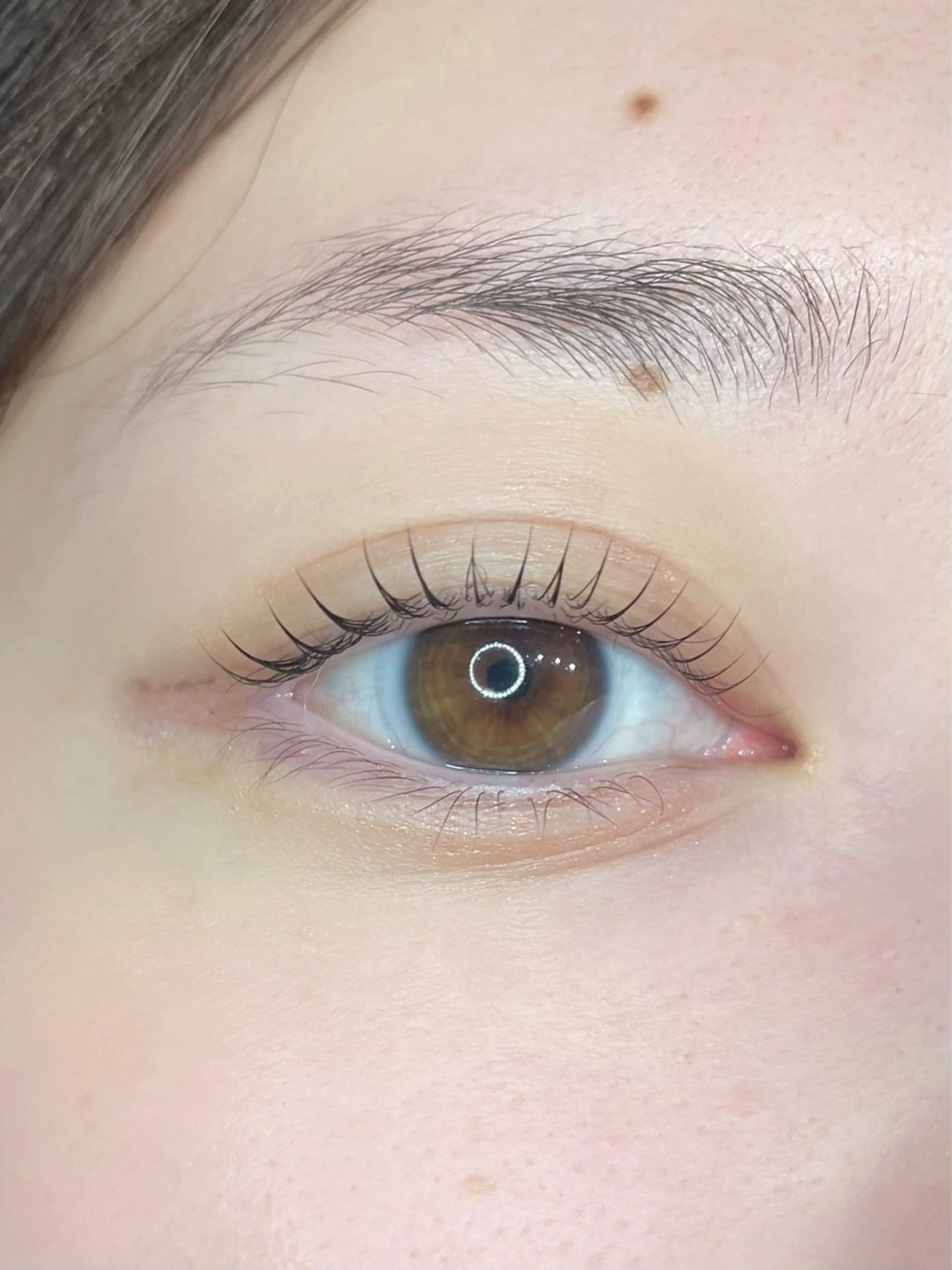 ラッシュリフト(トリートメント付)の写真