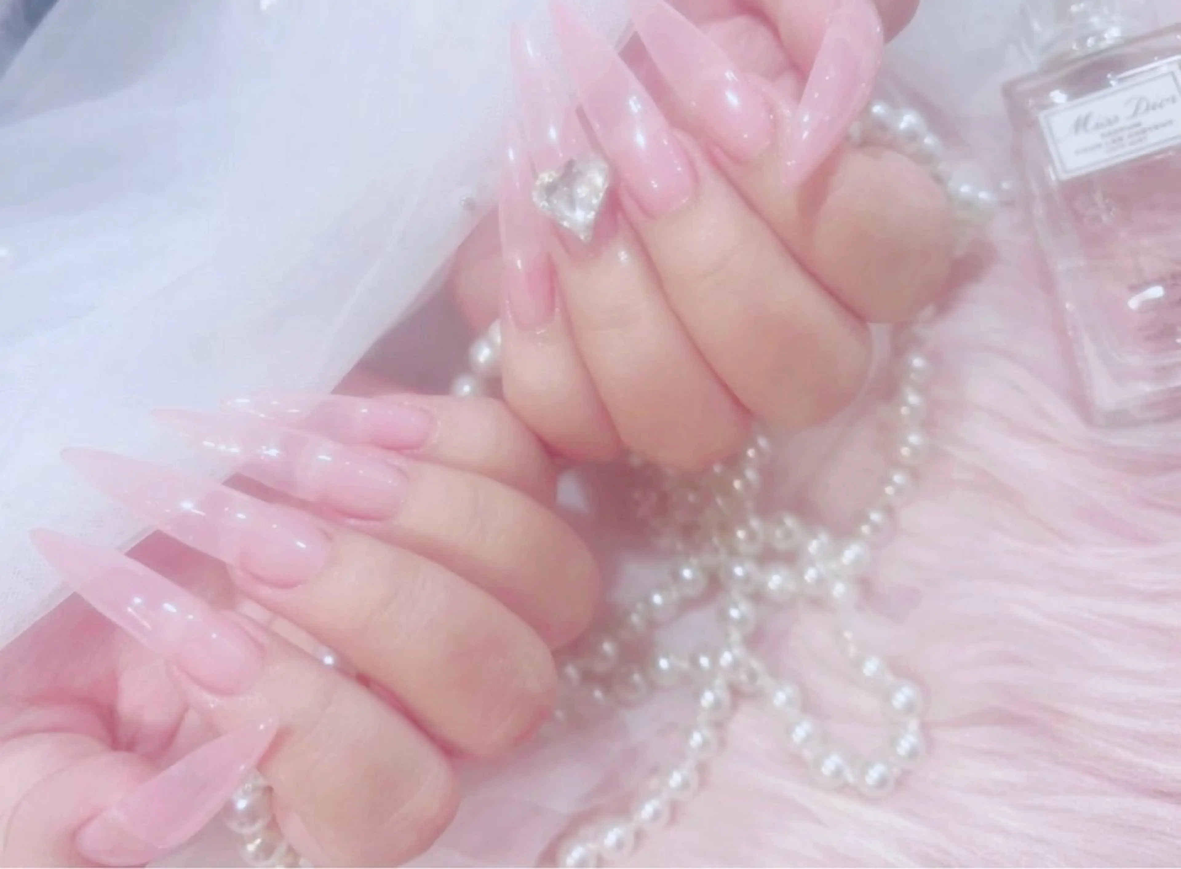 うるちゅるワンカラー🩵🩷の写真