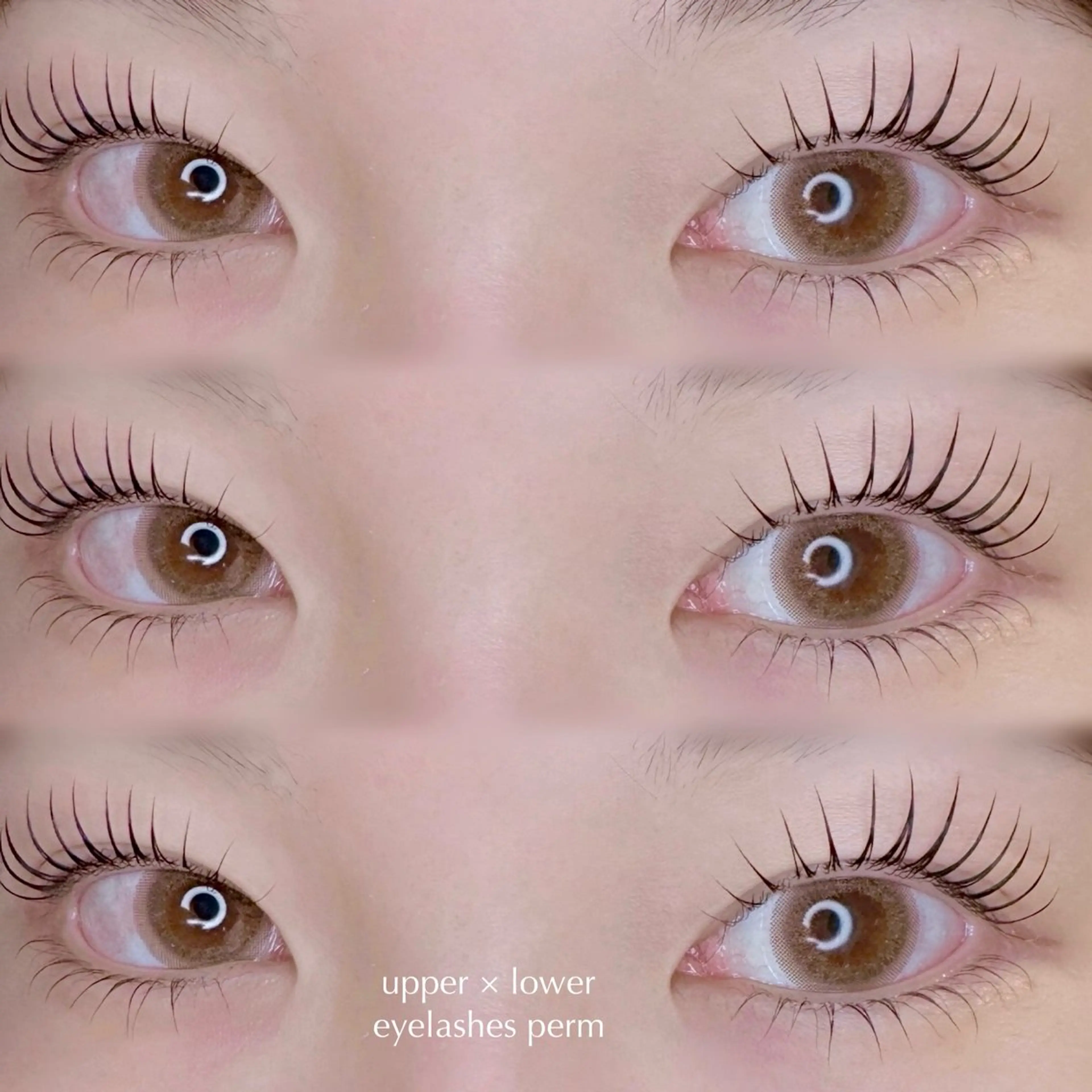 【上･下でお得🪽】⑅⃛ 上･下まつげパーマ ⑅⃛ 美容液＋束感仕上げ🐇の写真