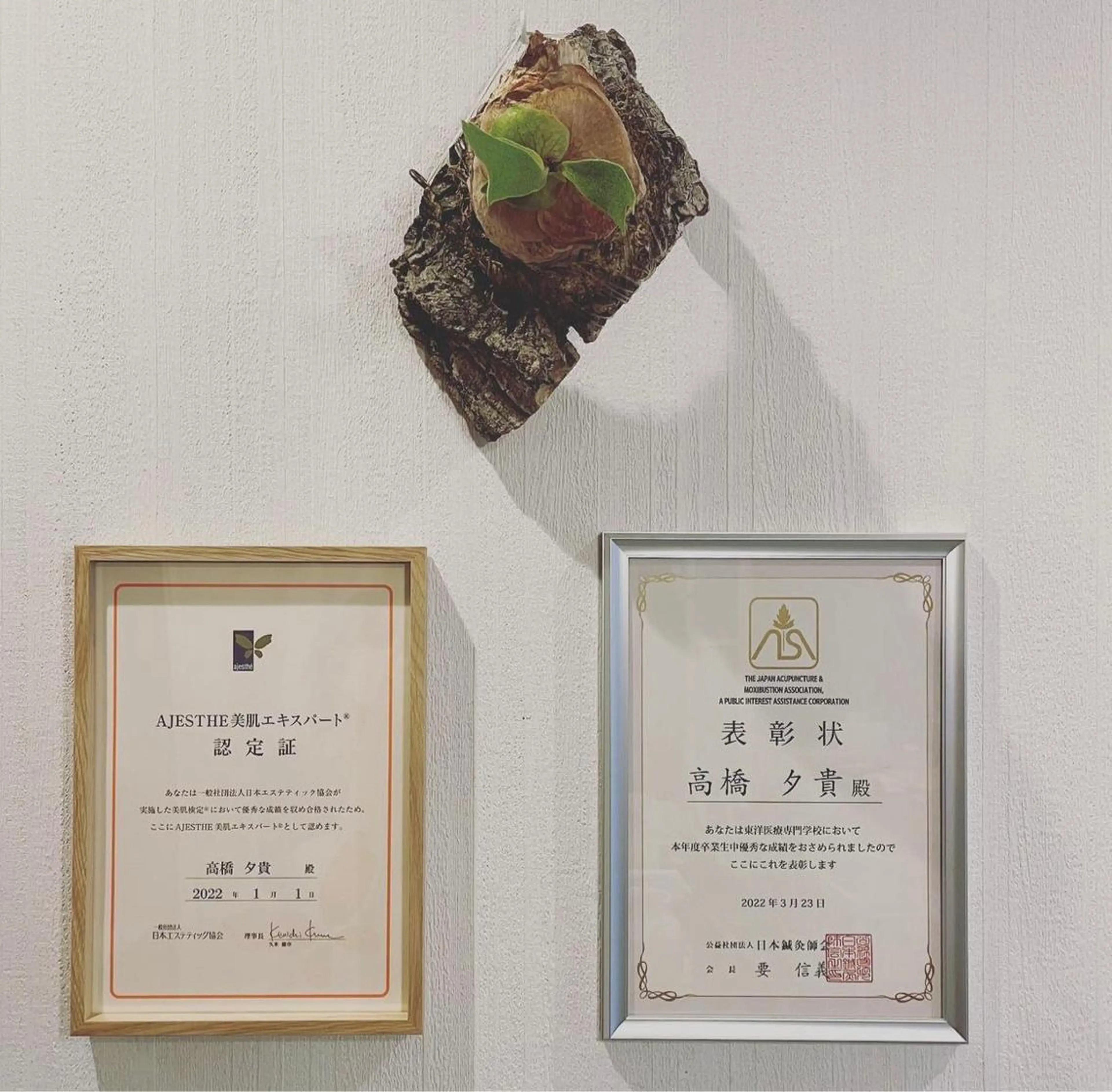 美容鍼　蒼月-aotsuki-所属・美容鍼「蒼月」 -アオツキ-のエステ・リラクイメージ