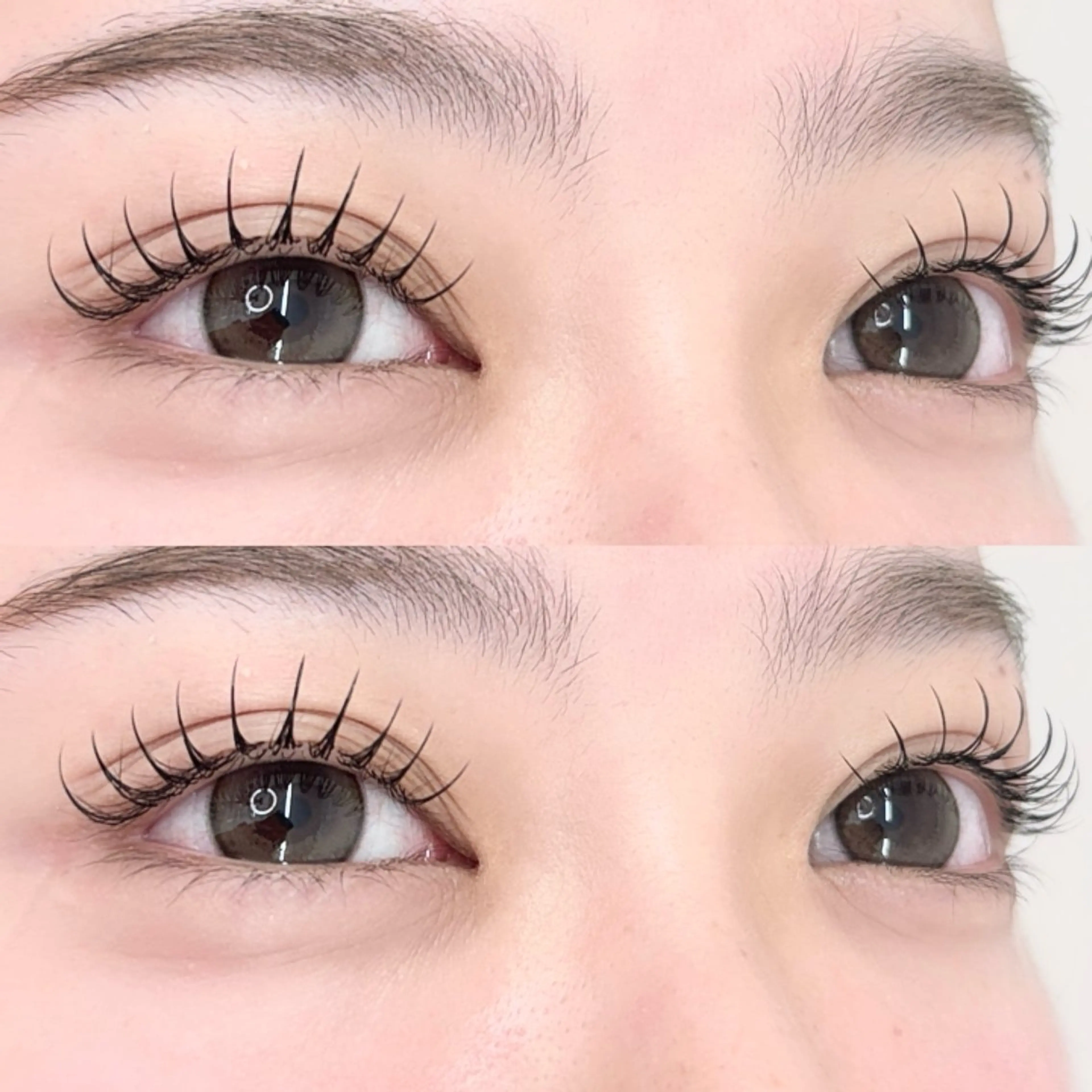 マツエク・マツパ Ayame&heal thy/ワンホン\のマツエク・マツパデザイン