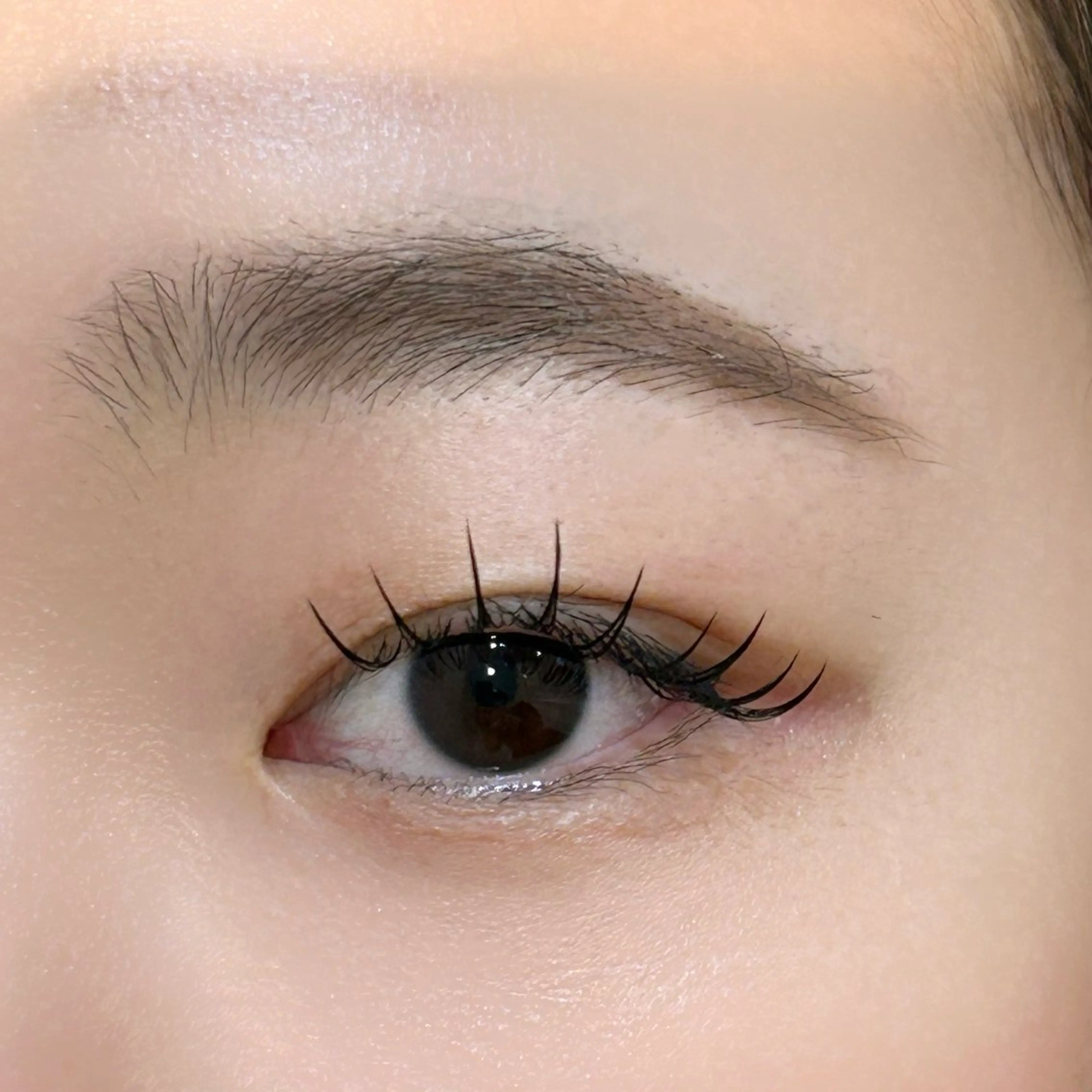 マツエク・マツパ Cカール eyelist 🫧nanami🫧の眉毛・アイブロウイメージ