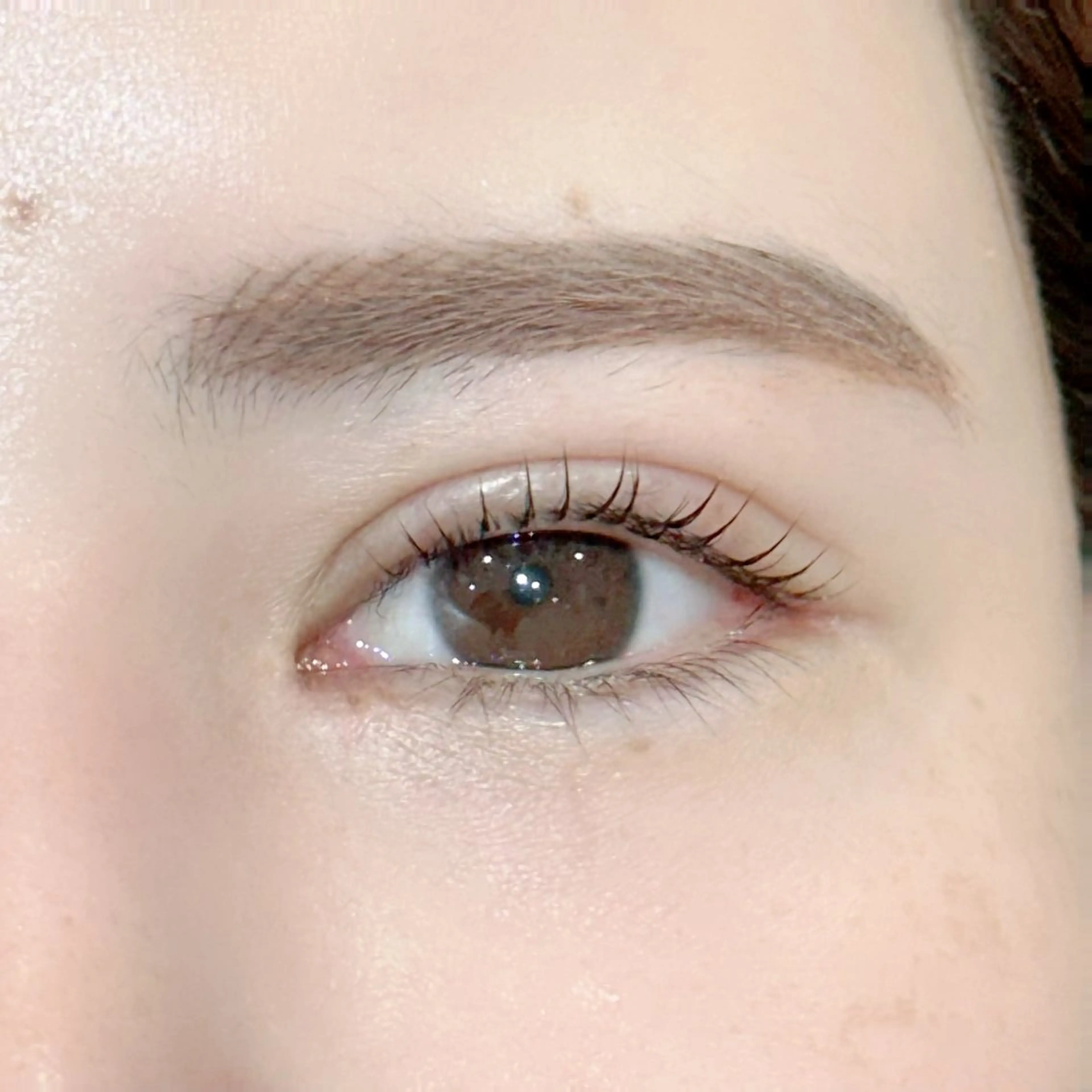 【次世代まつ毛パーマ】パリジェンヌラッシュリフト〈コーティング付〉￥6000＋指名料¥300の写真