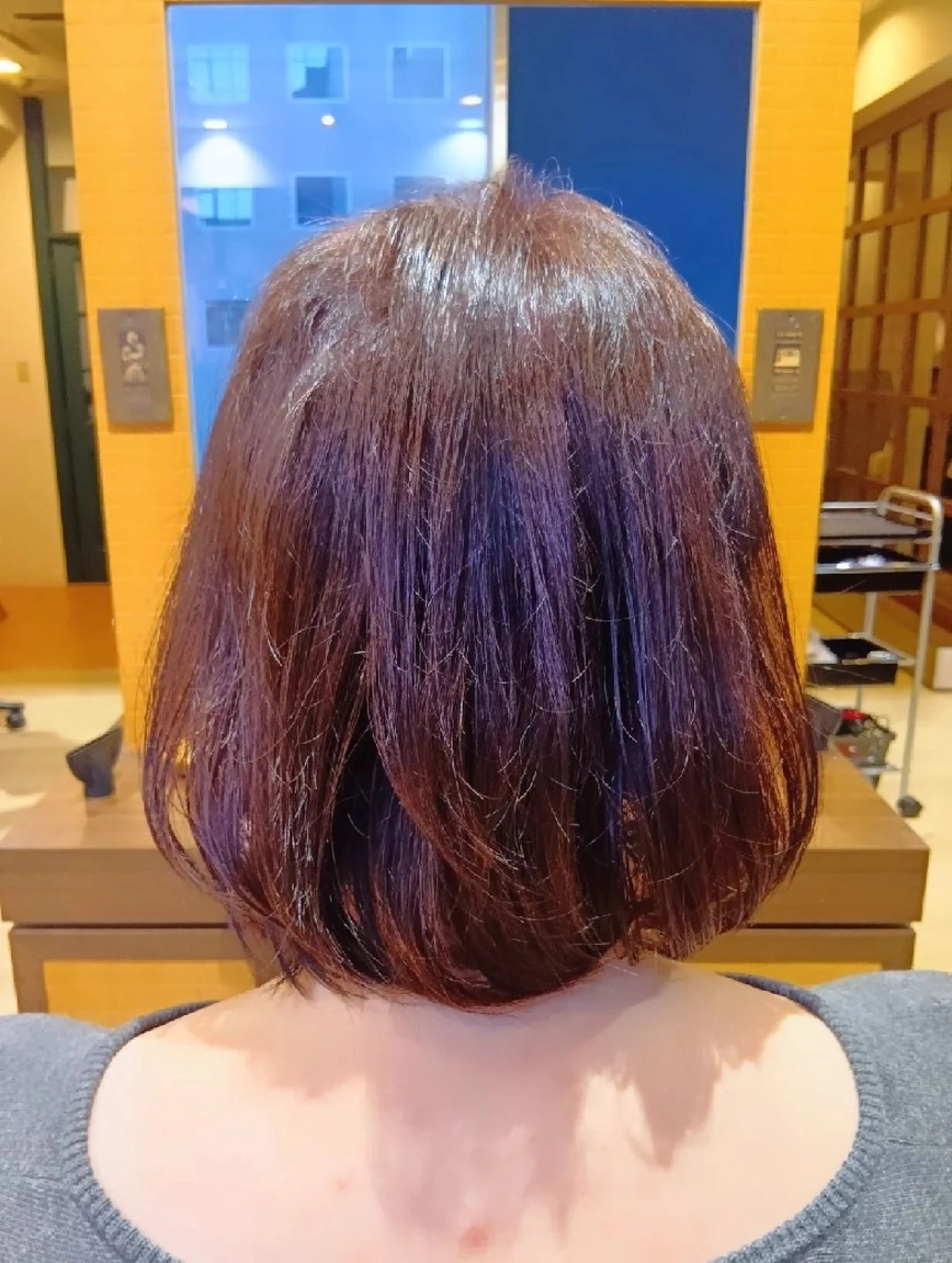 ショート カラー グラデーションカラー カット ヘアカラー トリートメント 小林暢🌟Orque 髪質改善サロン🌙のヘアスタイル
